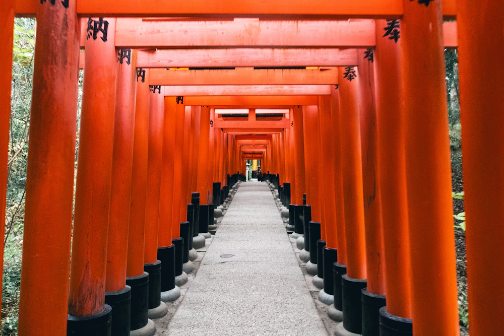 Un camino entre torii en Fushimi Inari, Kioto