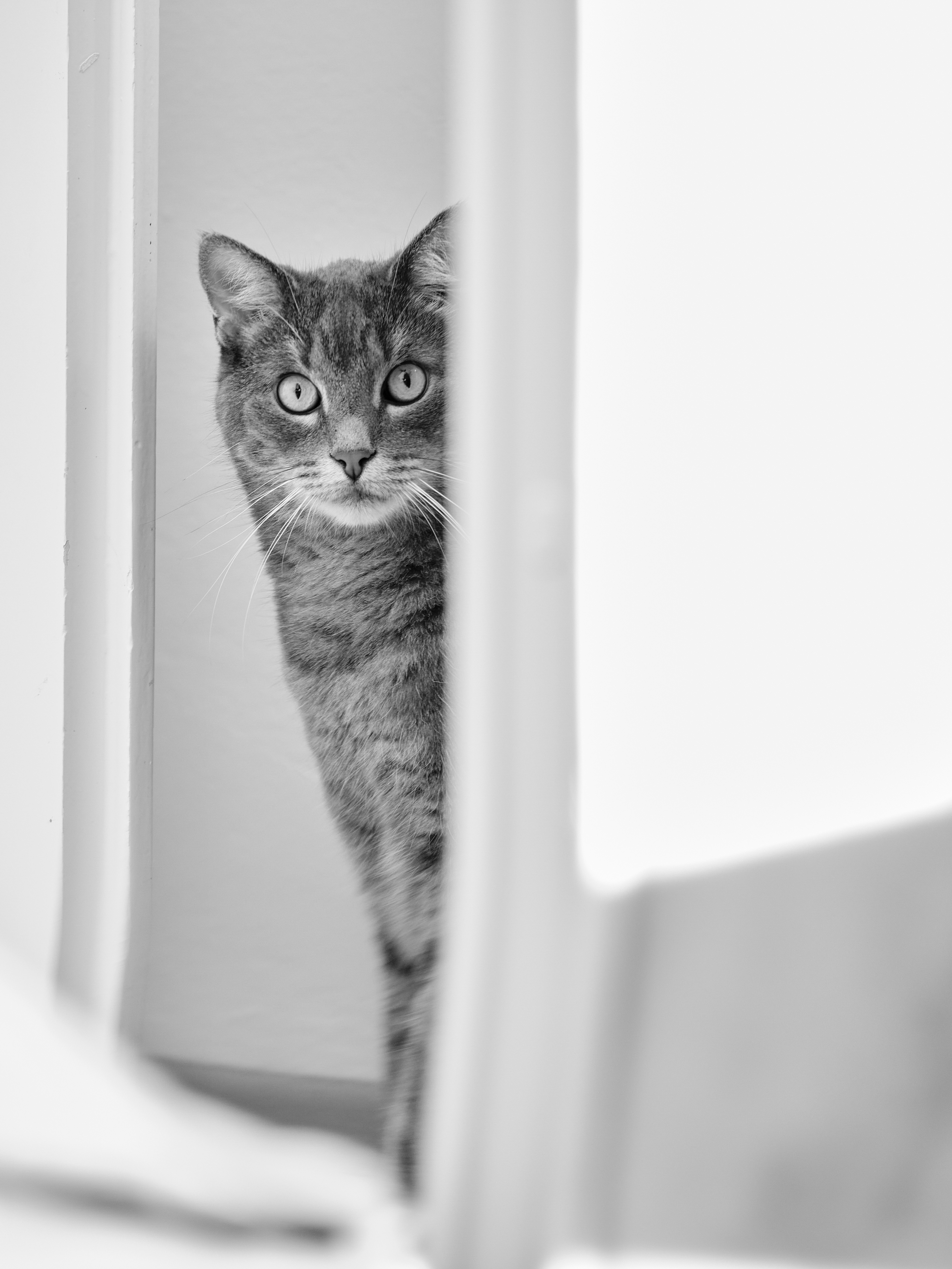 Photo by mikhail_mamaev