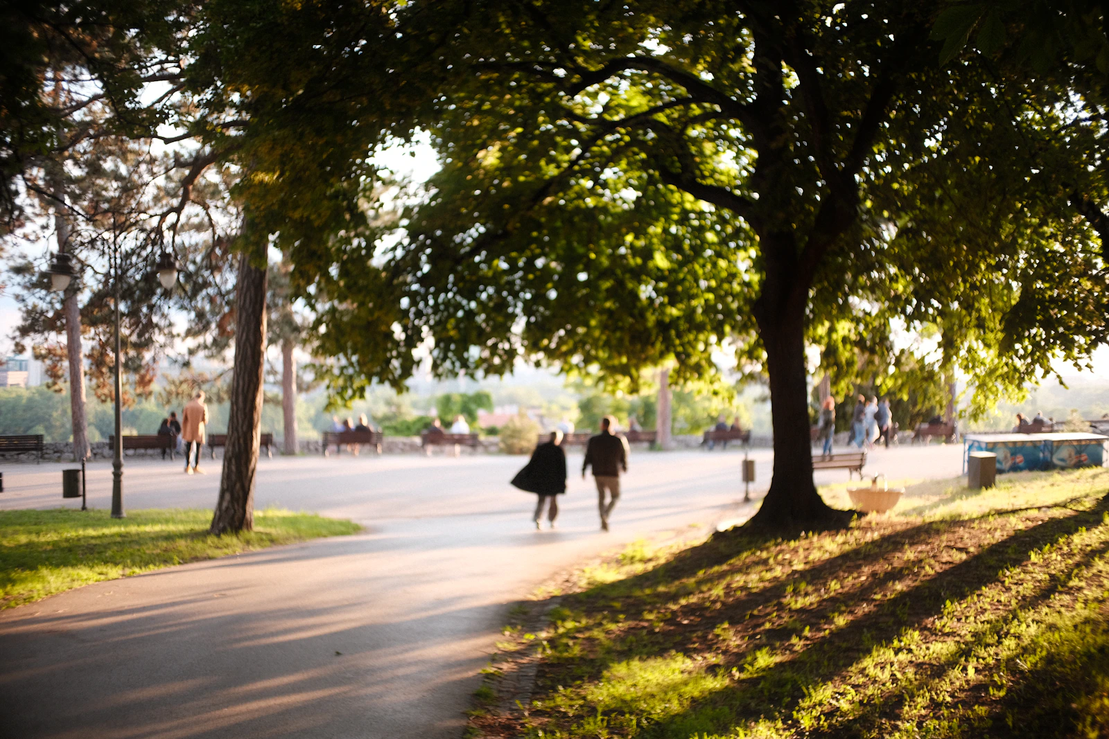 Couple walking together on a sunny park path