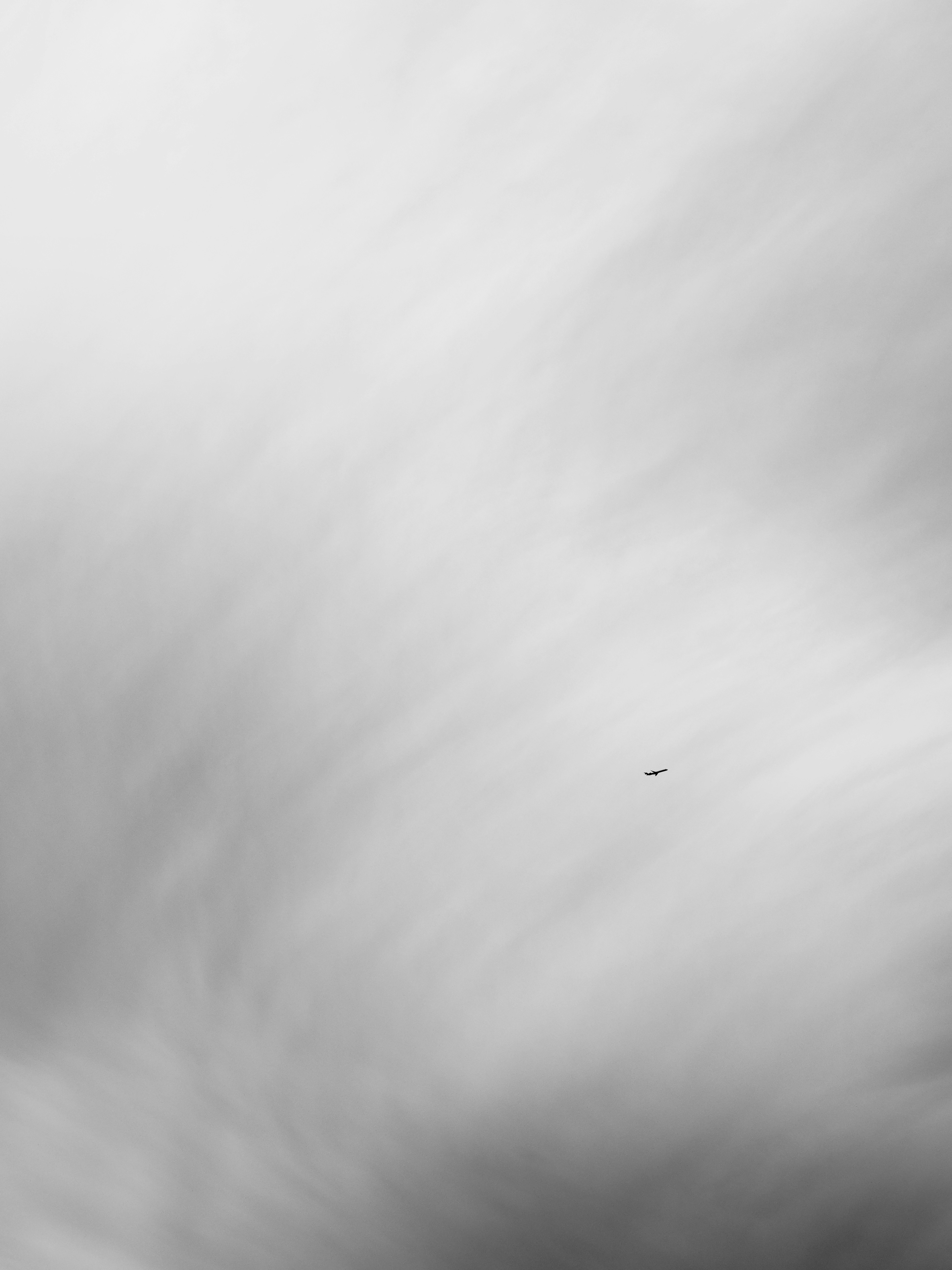 Photo by sschusterphotoart