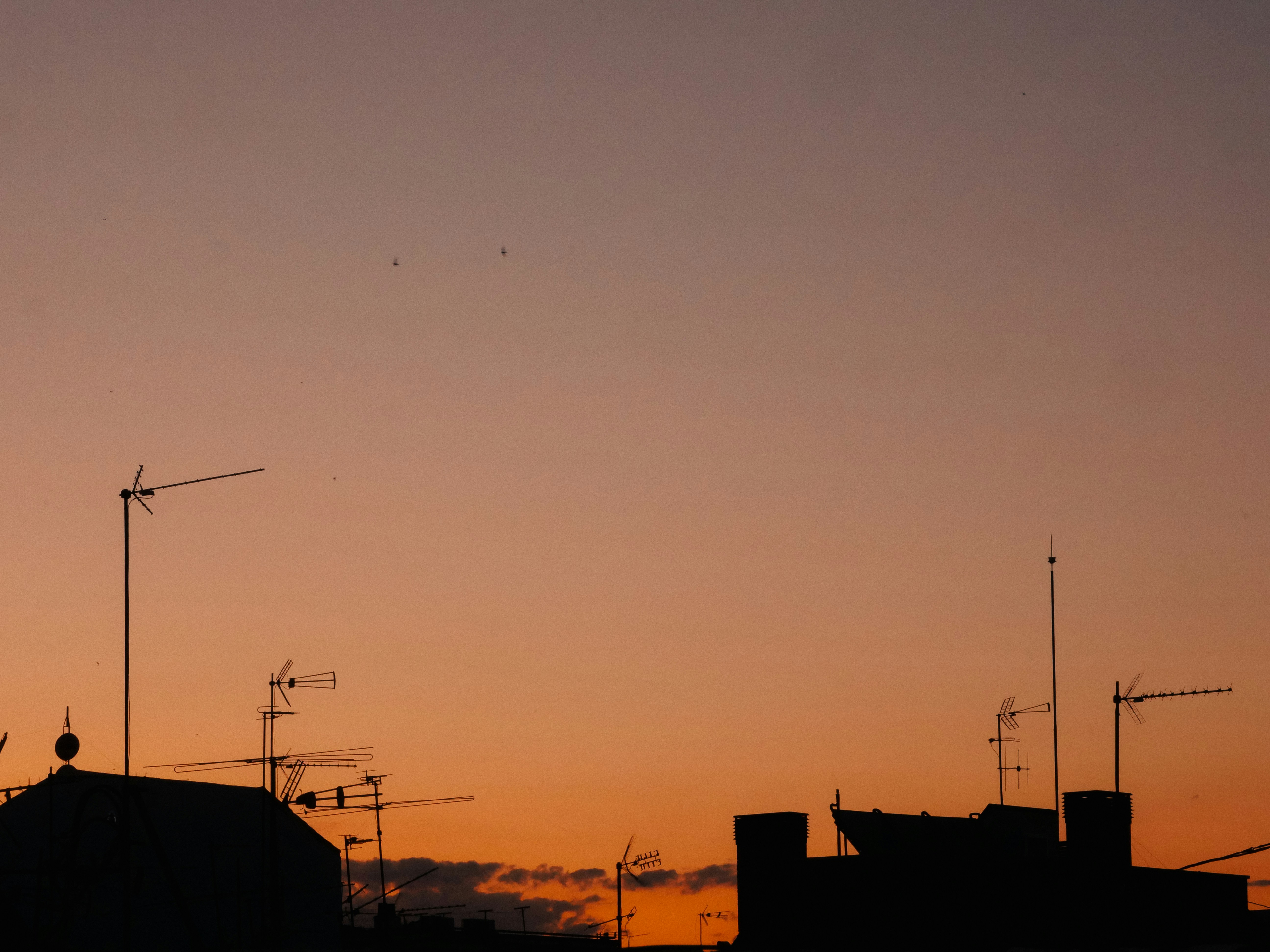 Photo by juttaelisabeth1