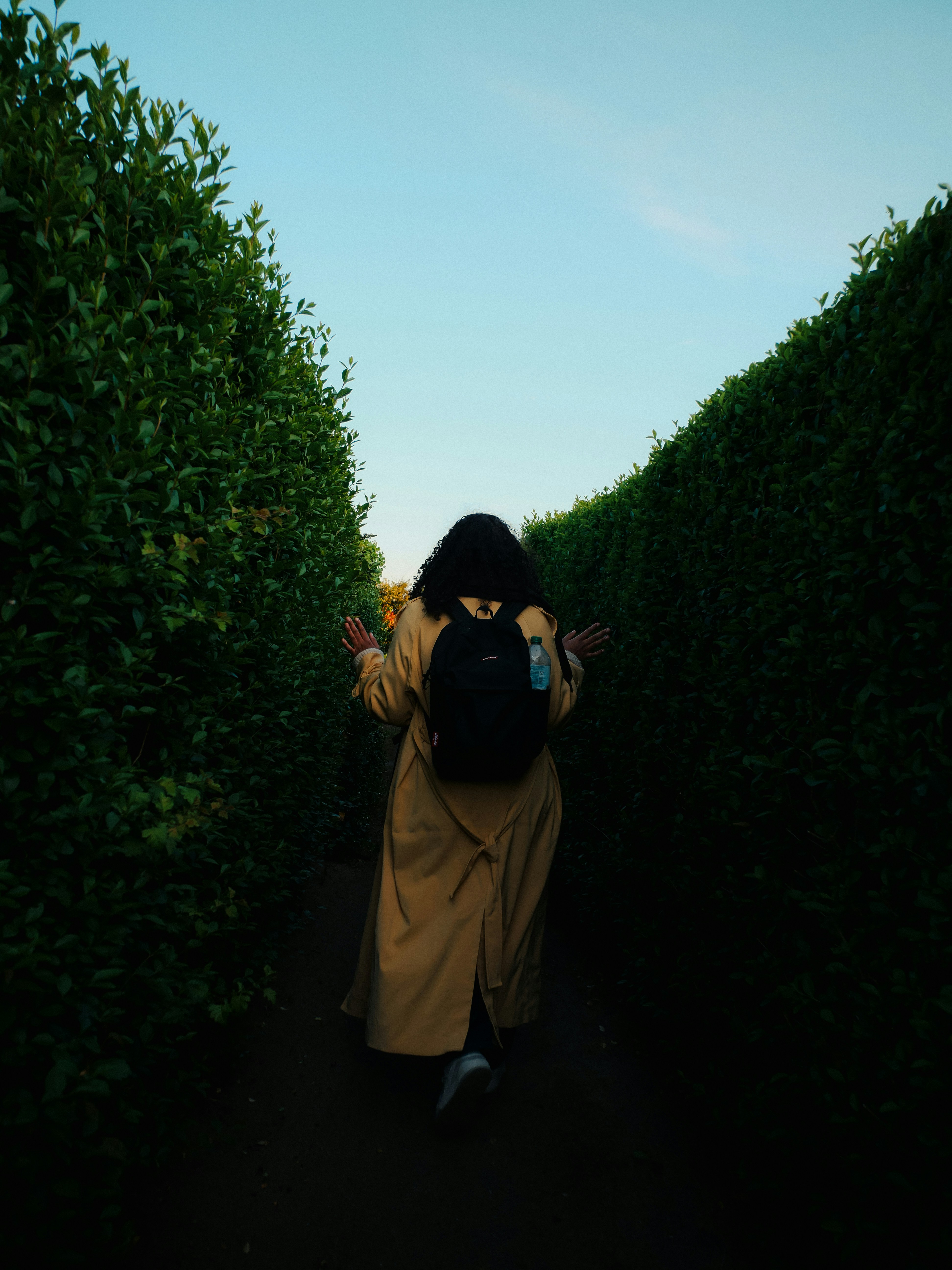 Woman walking through a tall green hedge maze