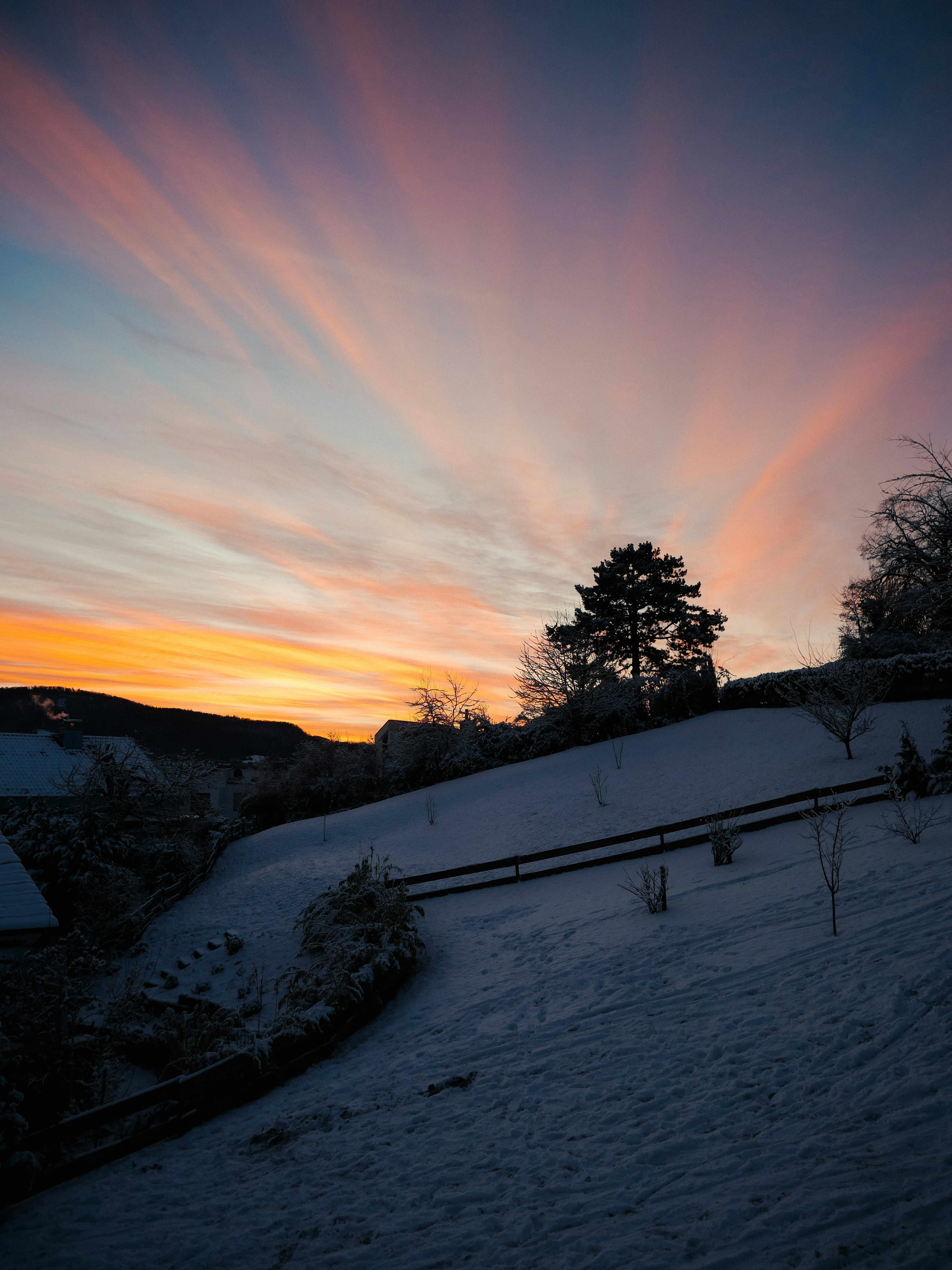 Photo by juttaelisabeth1