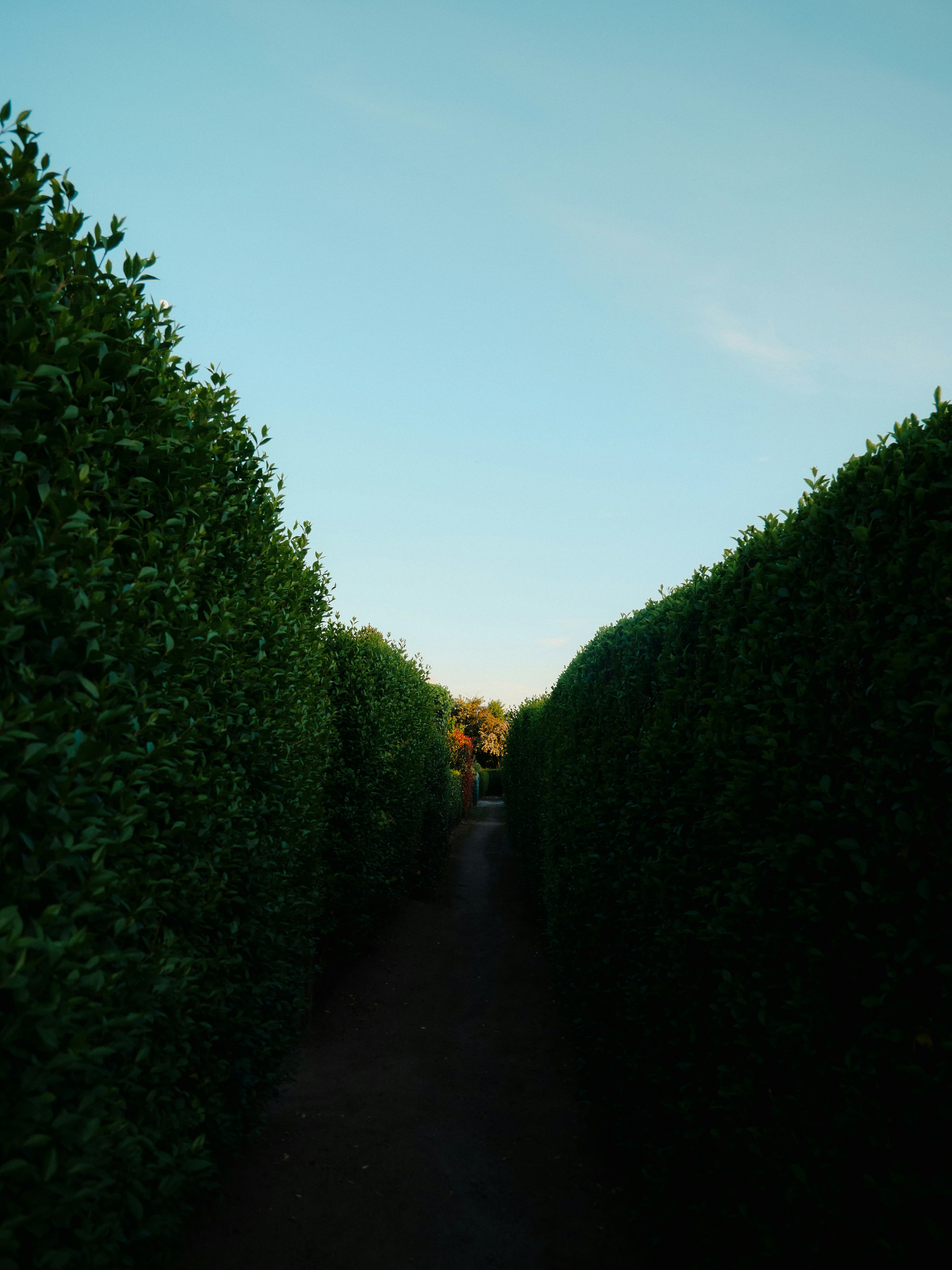 Photo by juttaelisabeth1