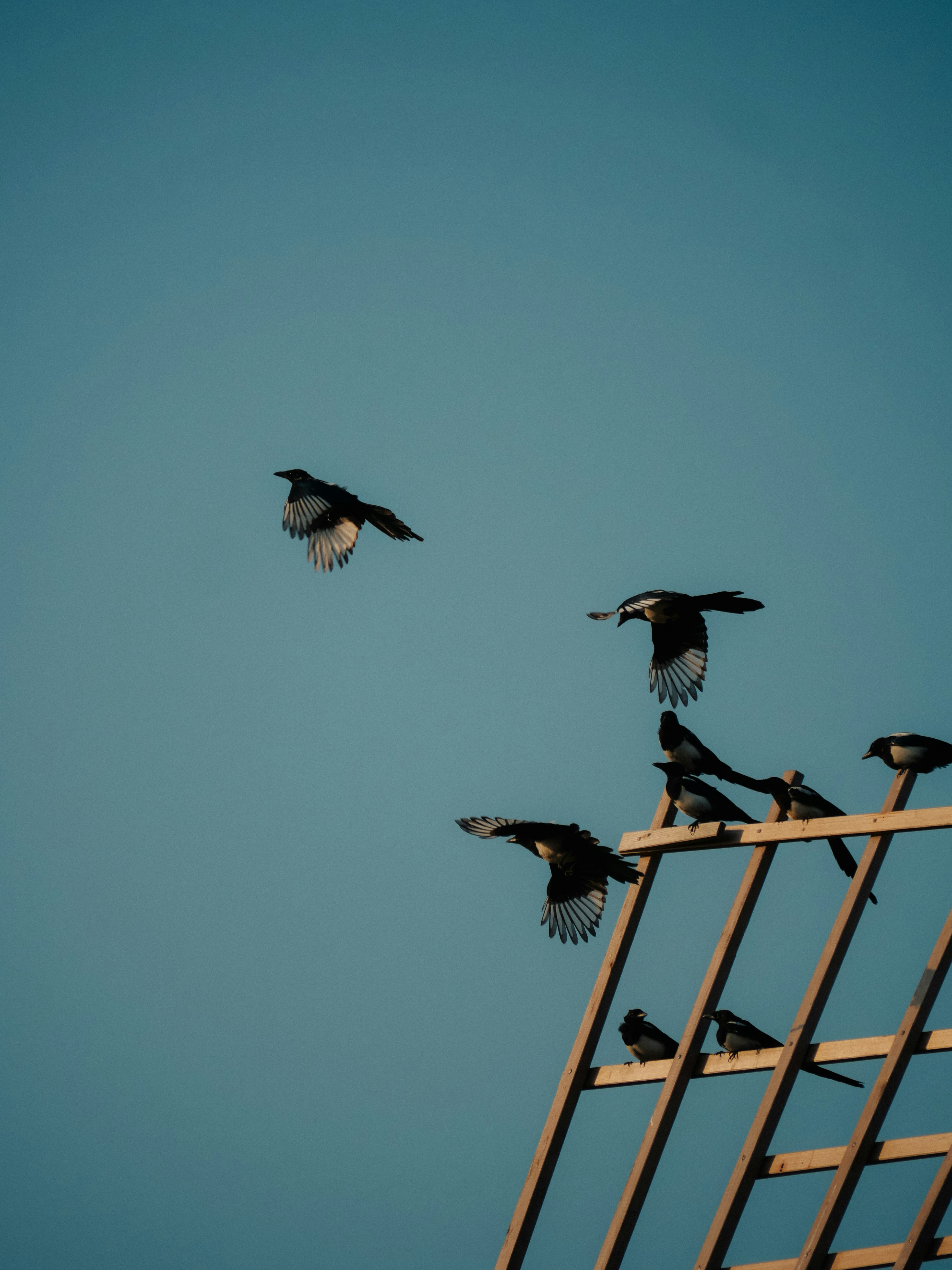 Photo by juttaelisabeth1