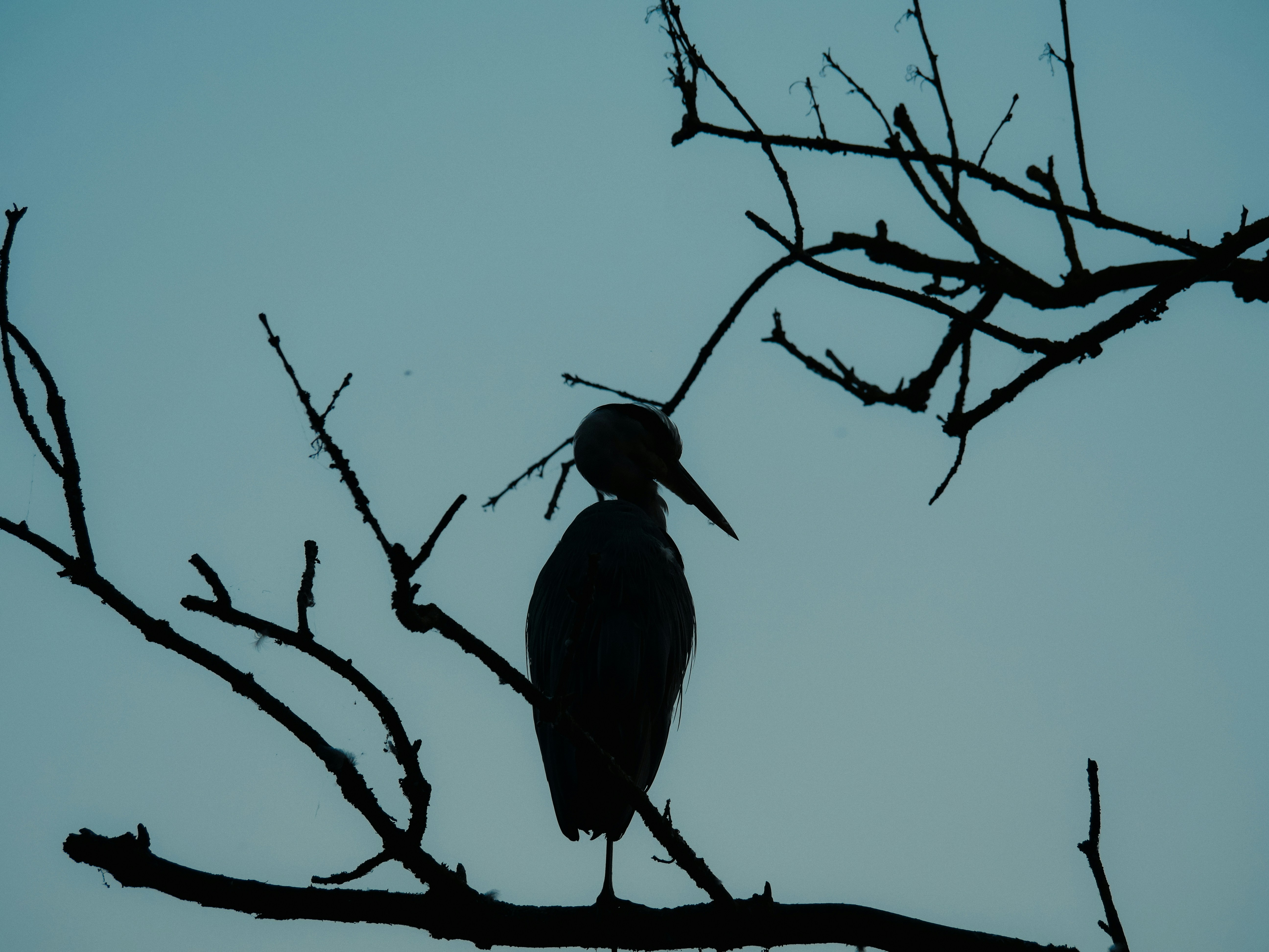 Photo by juttaelisabeth1