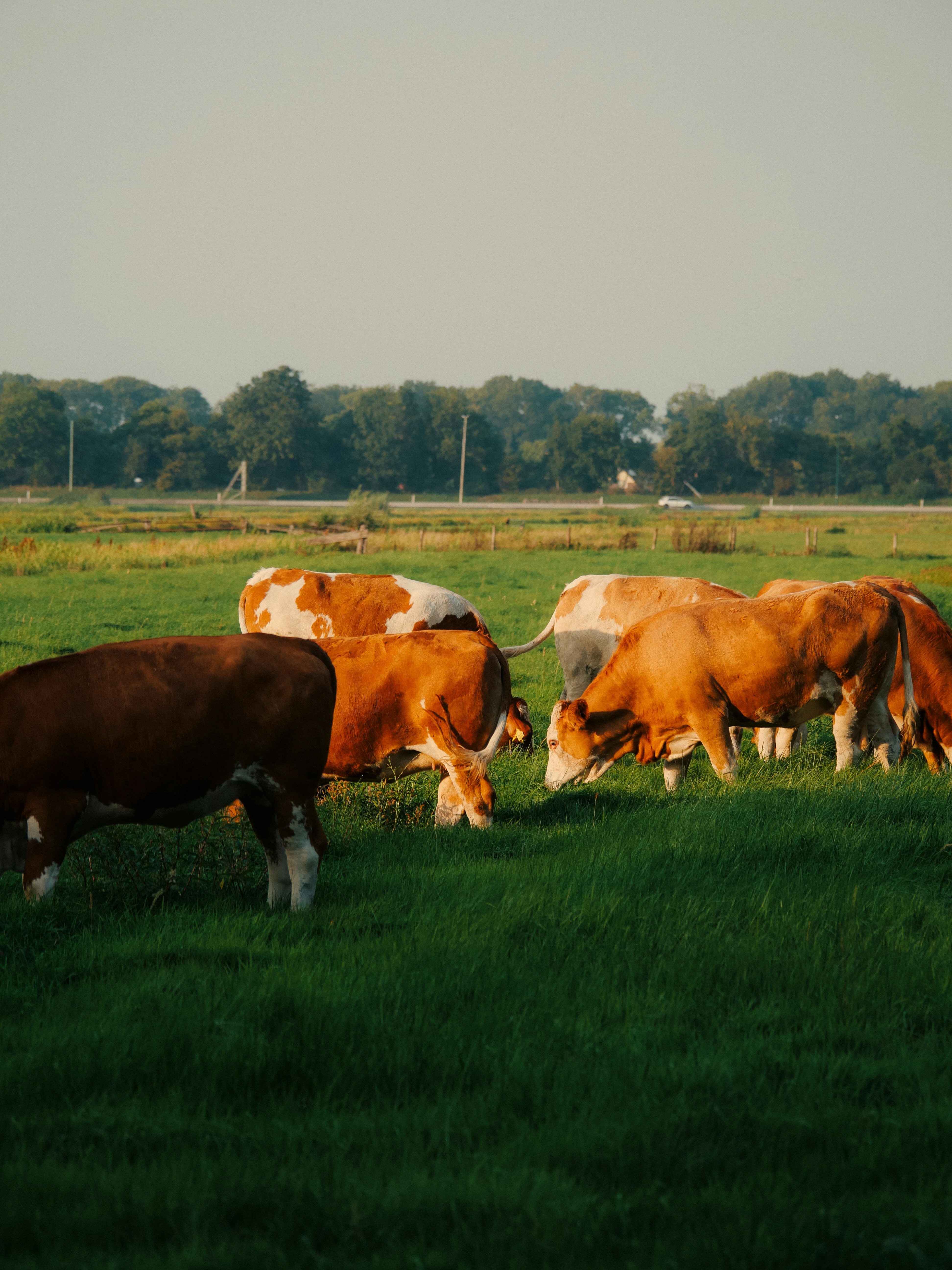 Photo by juttaelisabeth1