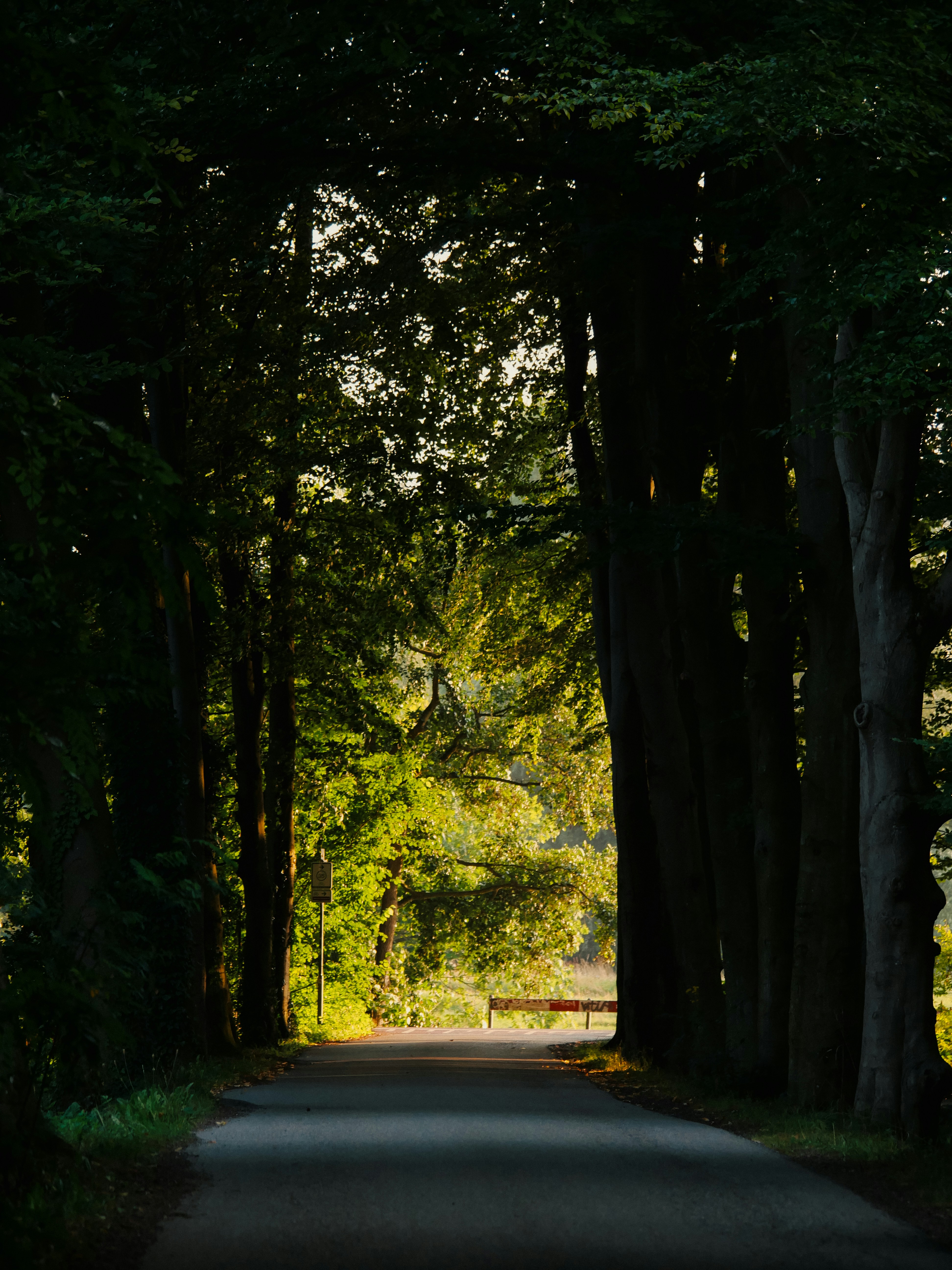 Photo by juttaelisabeth1