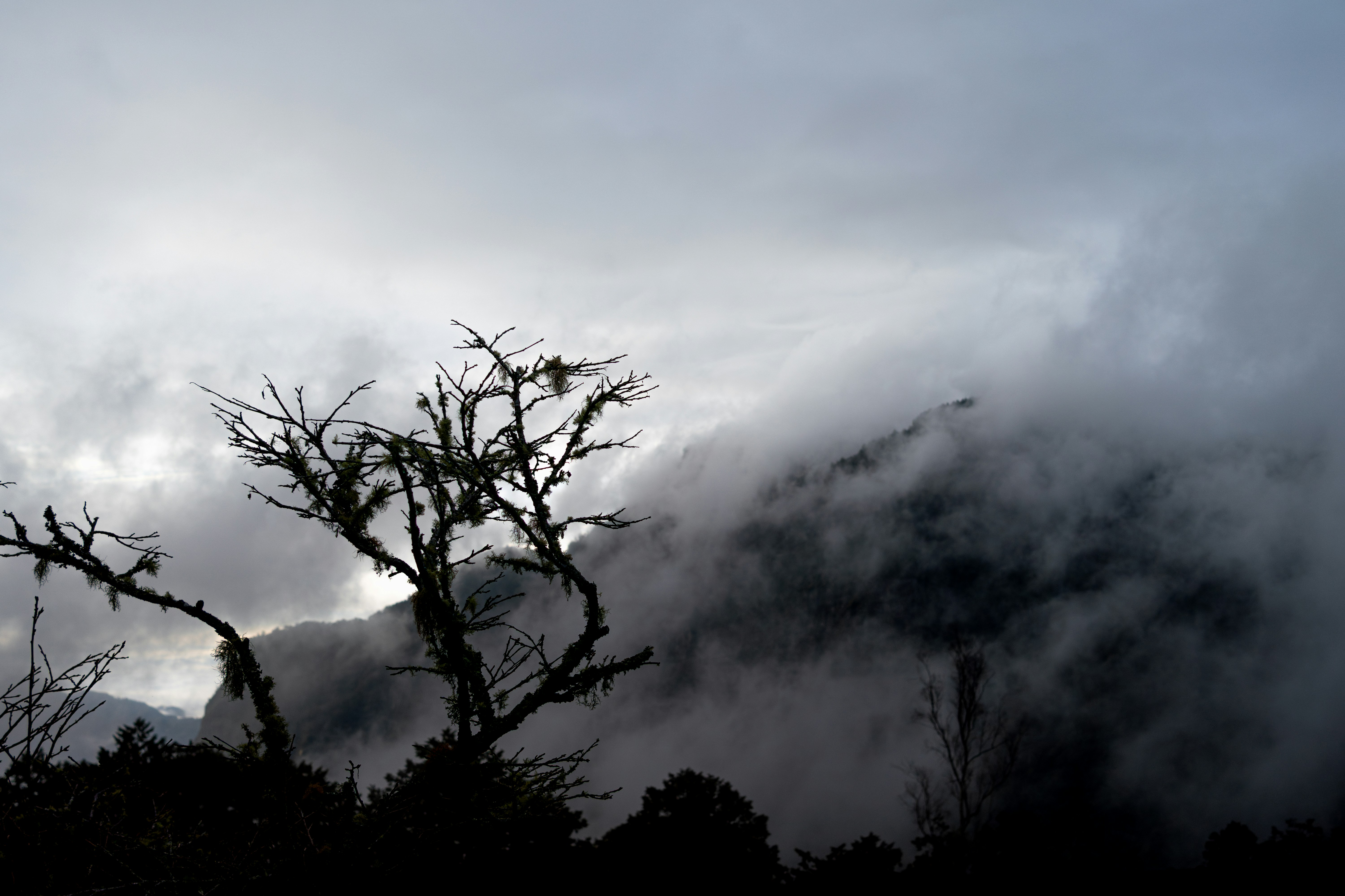 Photo by thejunefire