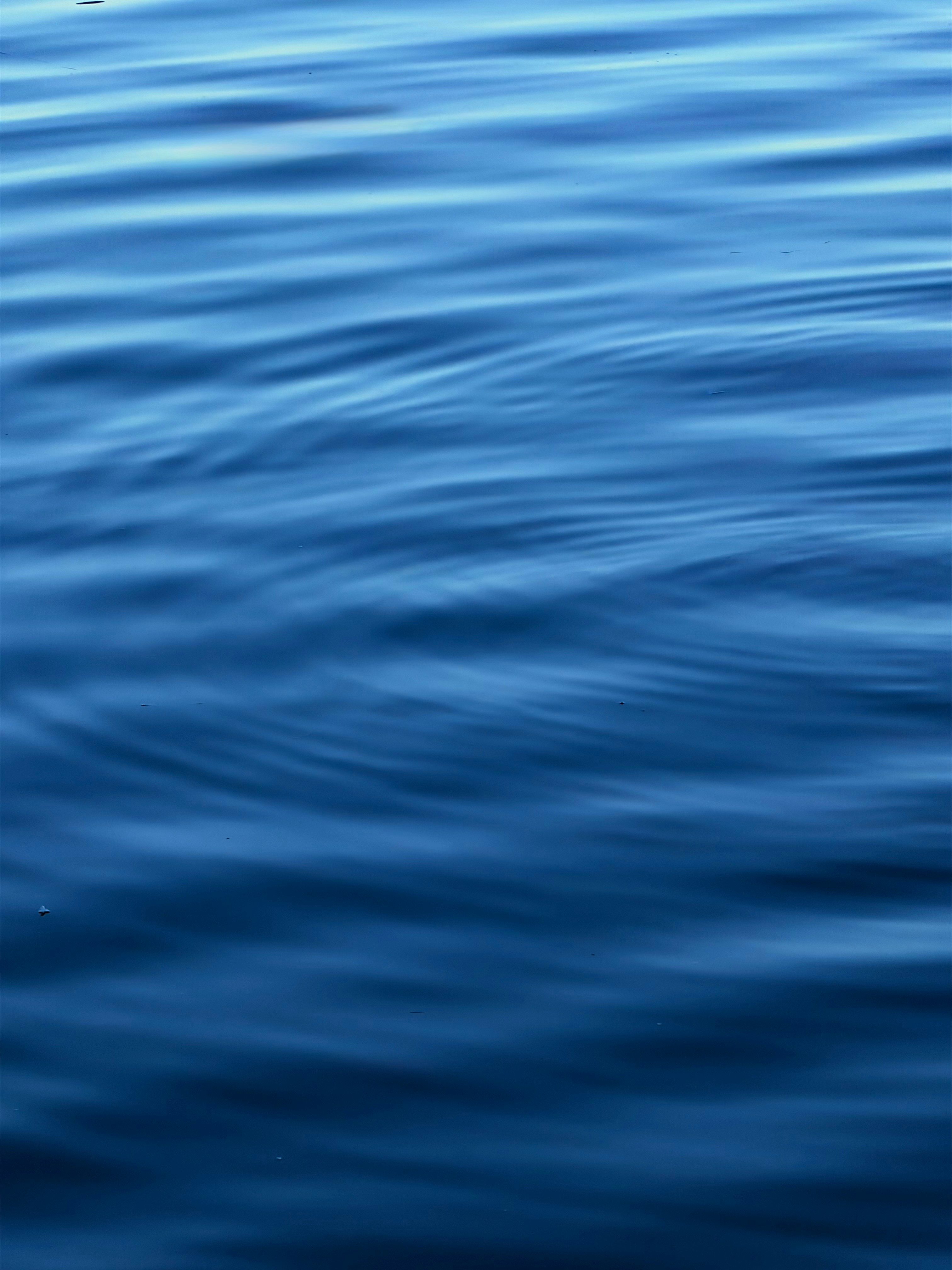 Photo by naveenprajapat