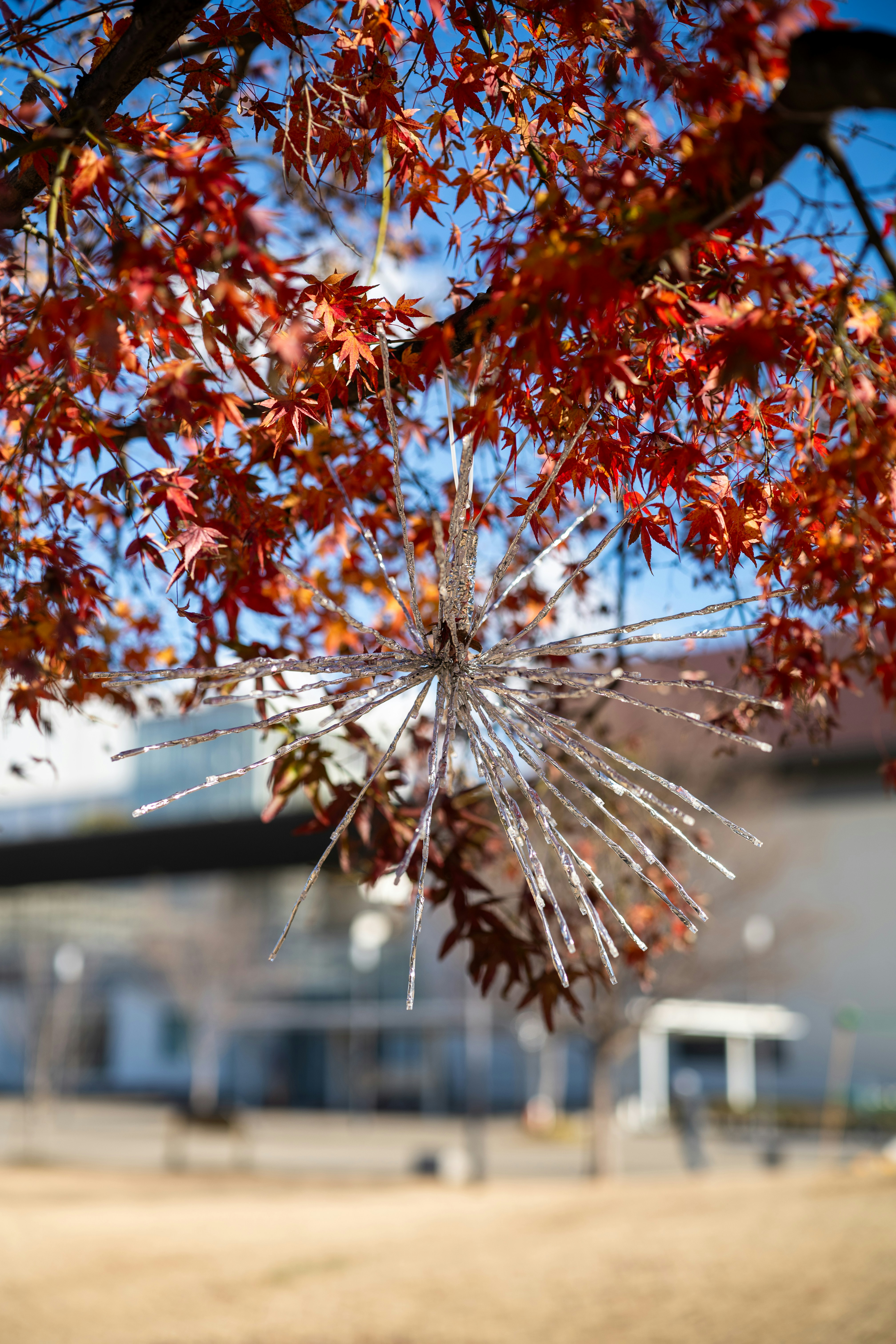 Glitzerndes Ornament, das an herbstlichen Baumzweigen hängt