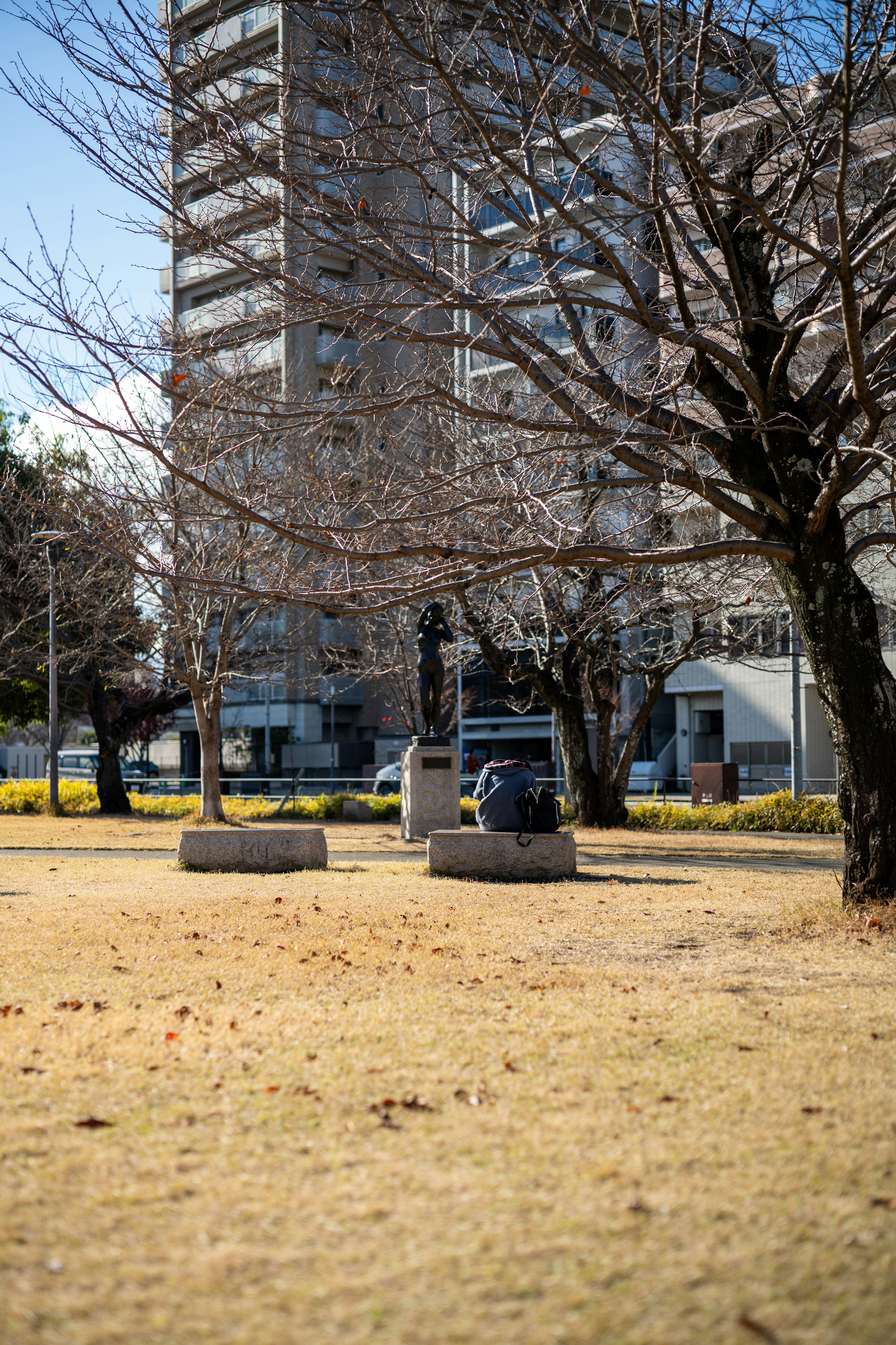 Photo by pafuxu