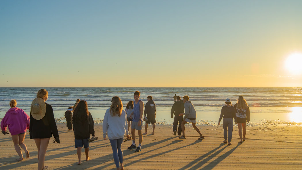 Group of friends walking together along a beach at sunset