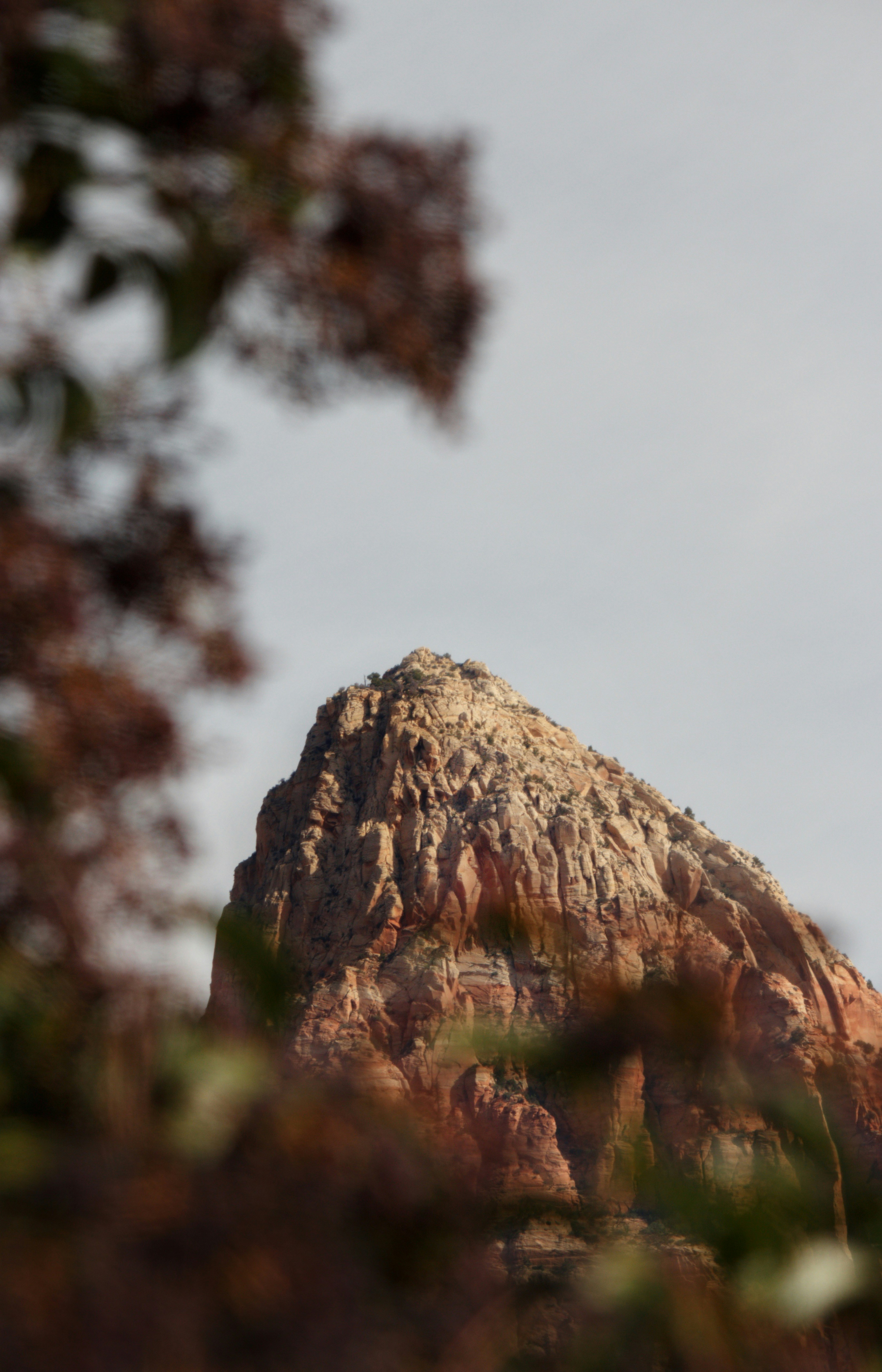 Rocky mountain peak seen through blurred foliage