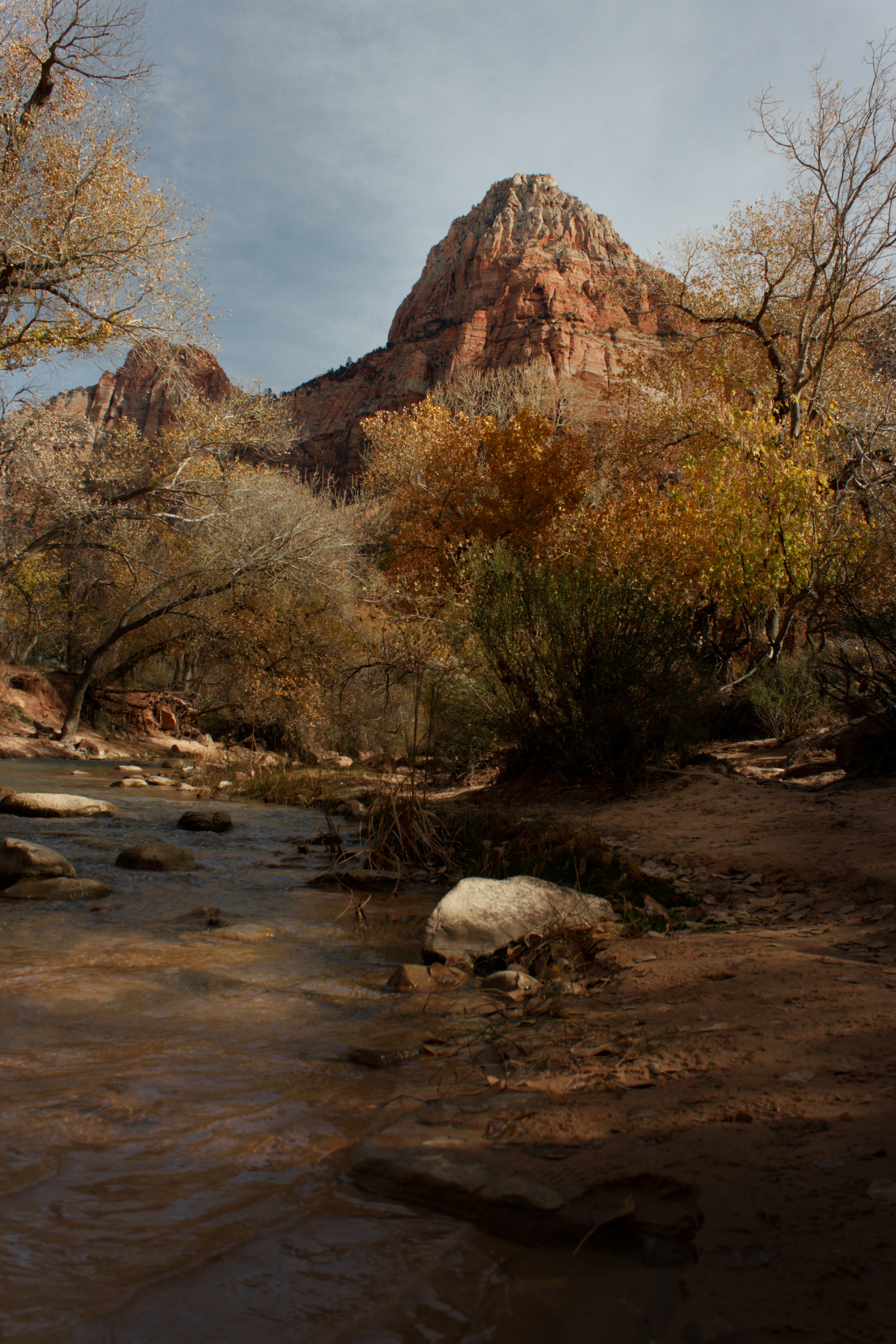 Red rock mountain overlooking a forest and river.