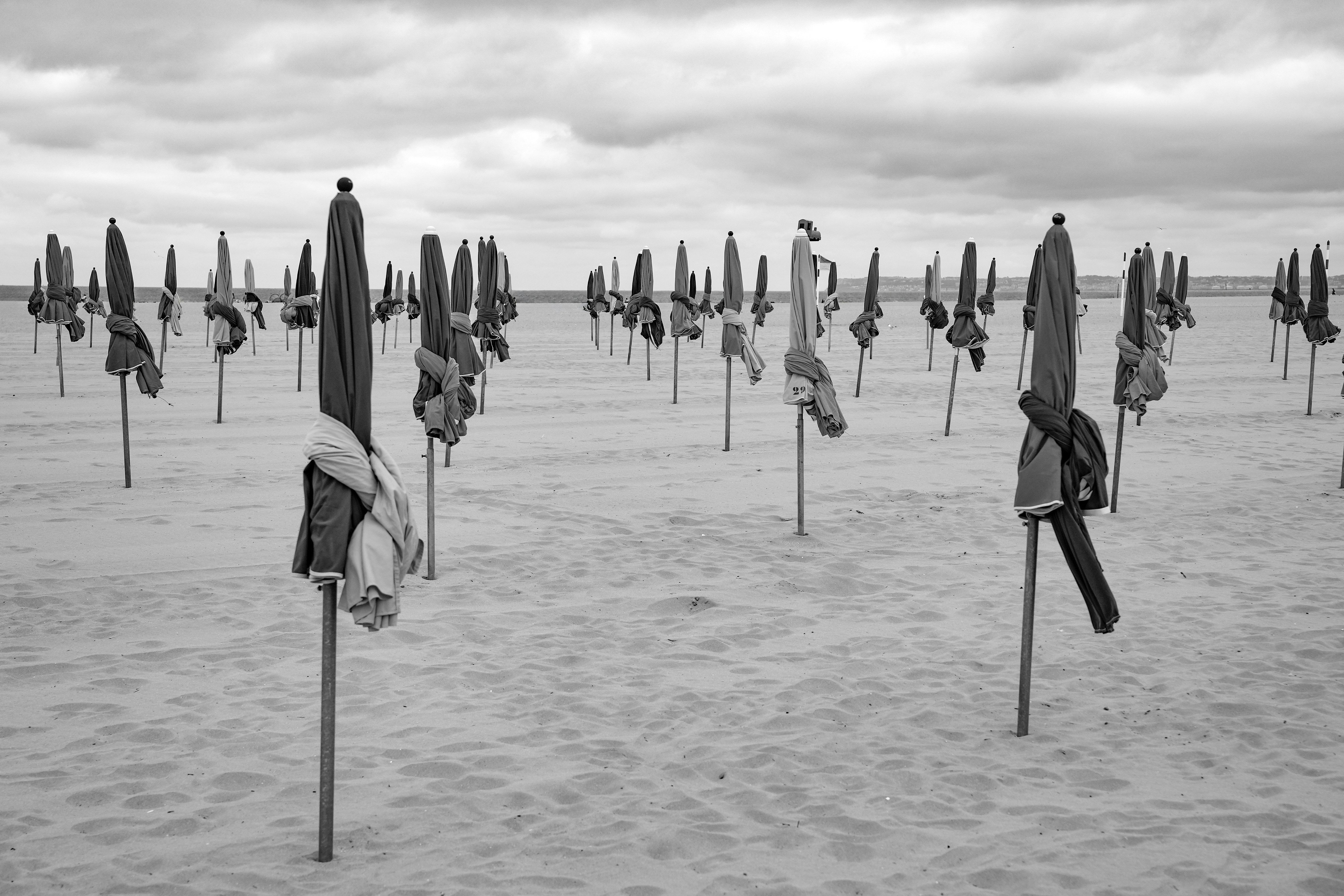 Rows of closed umbrellas on a sandy beach