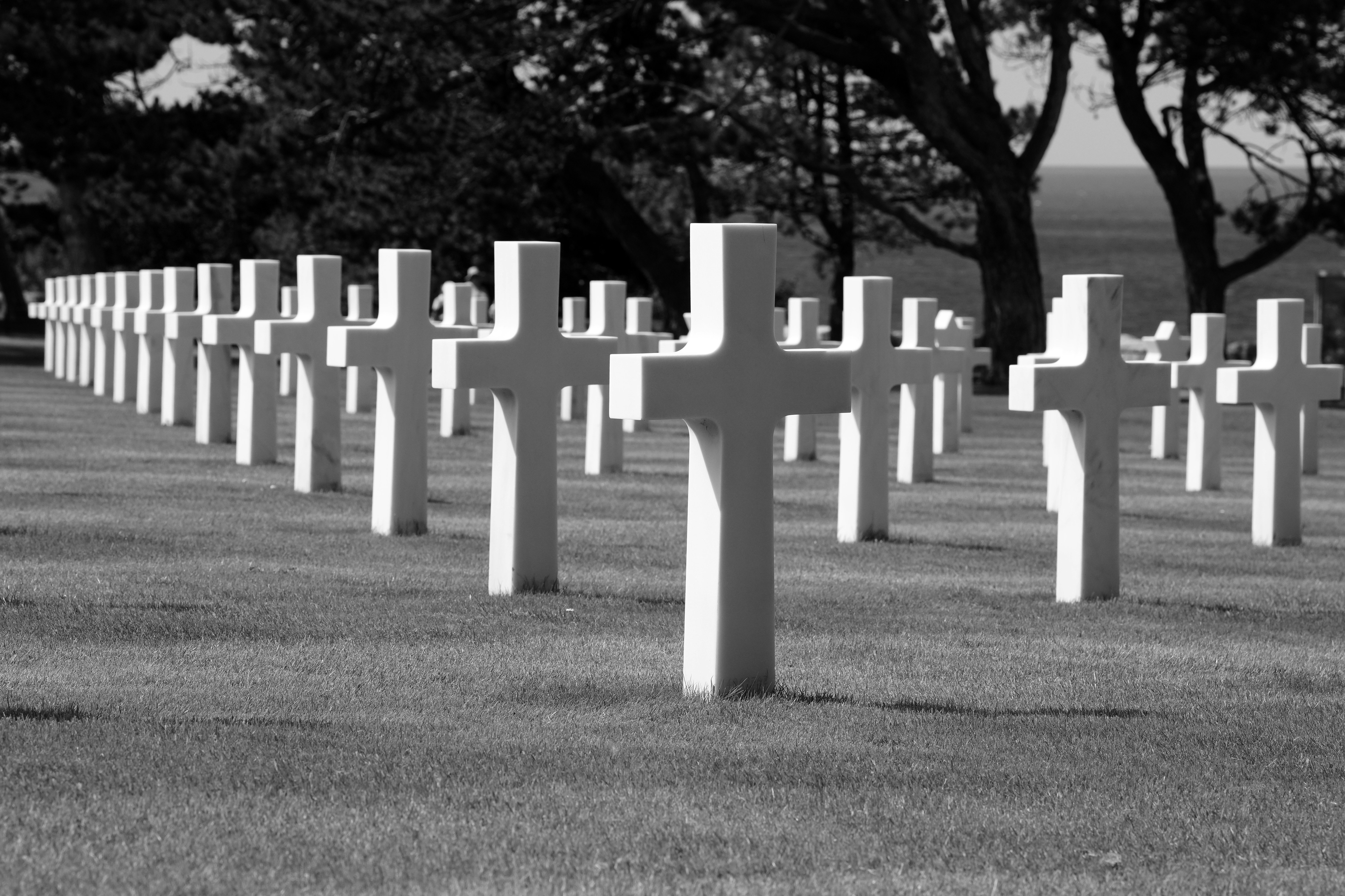 Rows of white crosses in a cemetery