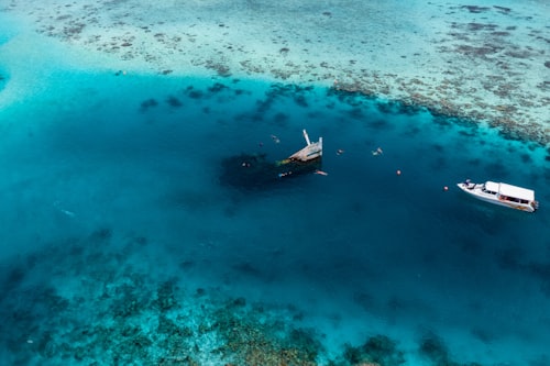 Shipwreck and Sand Bank Trip