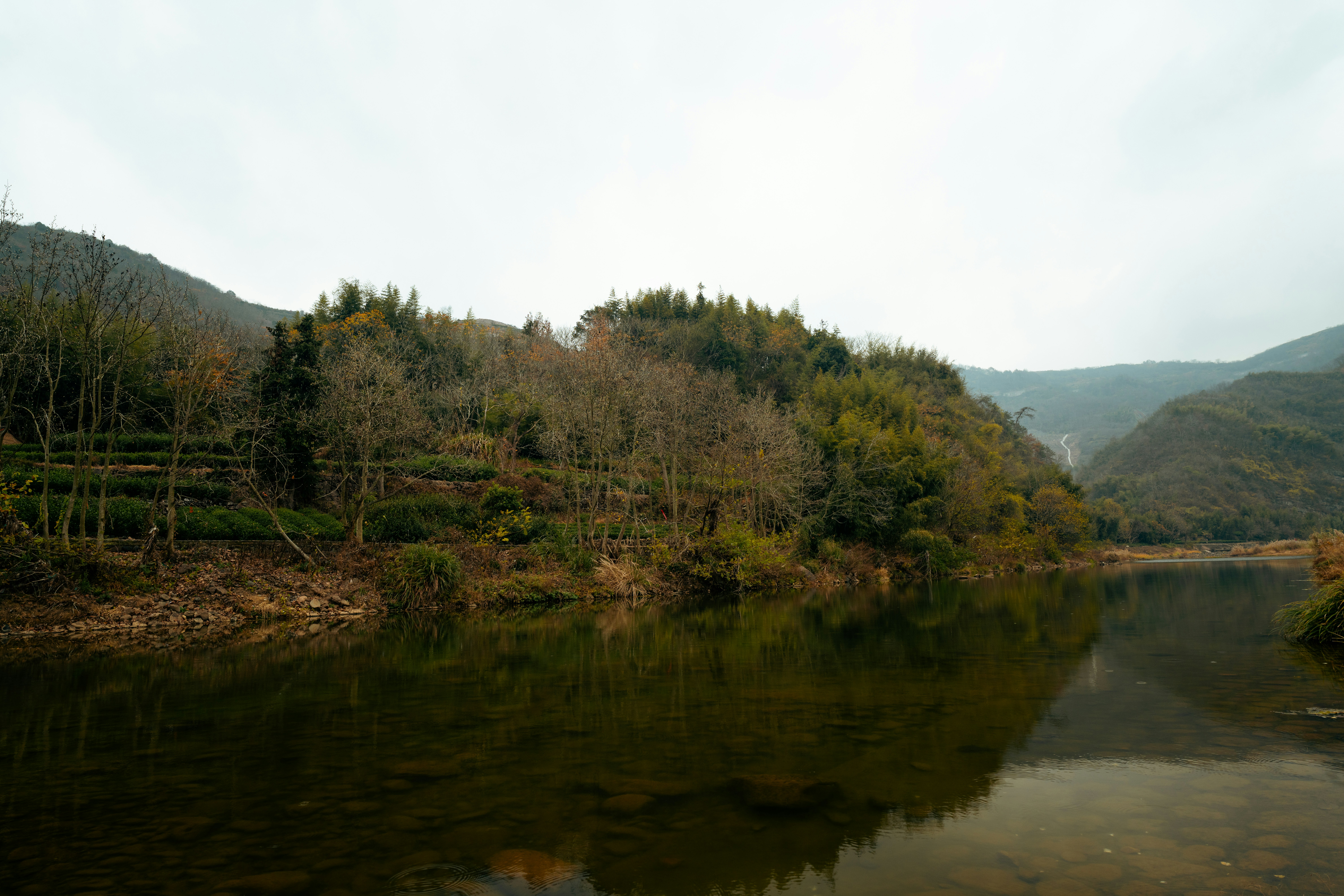 Photo by declansun