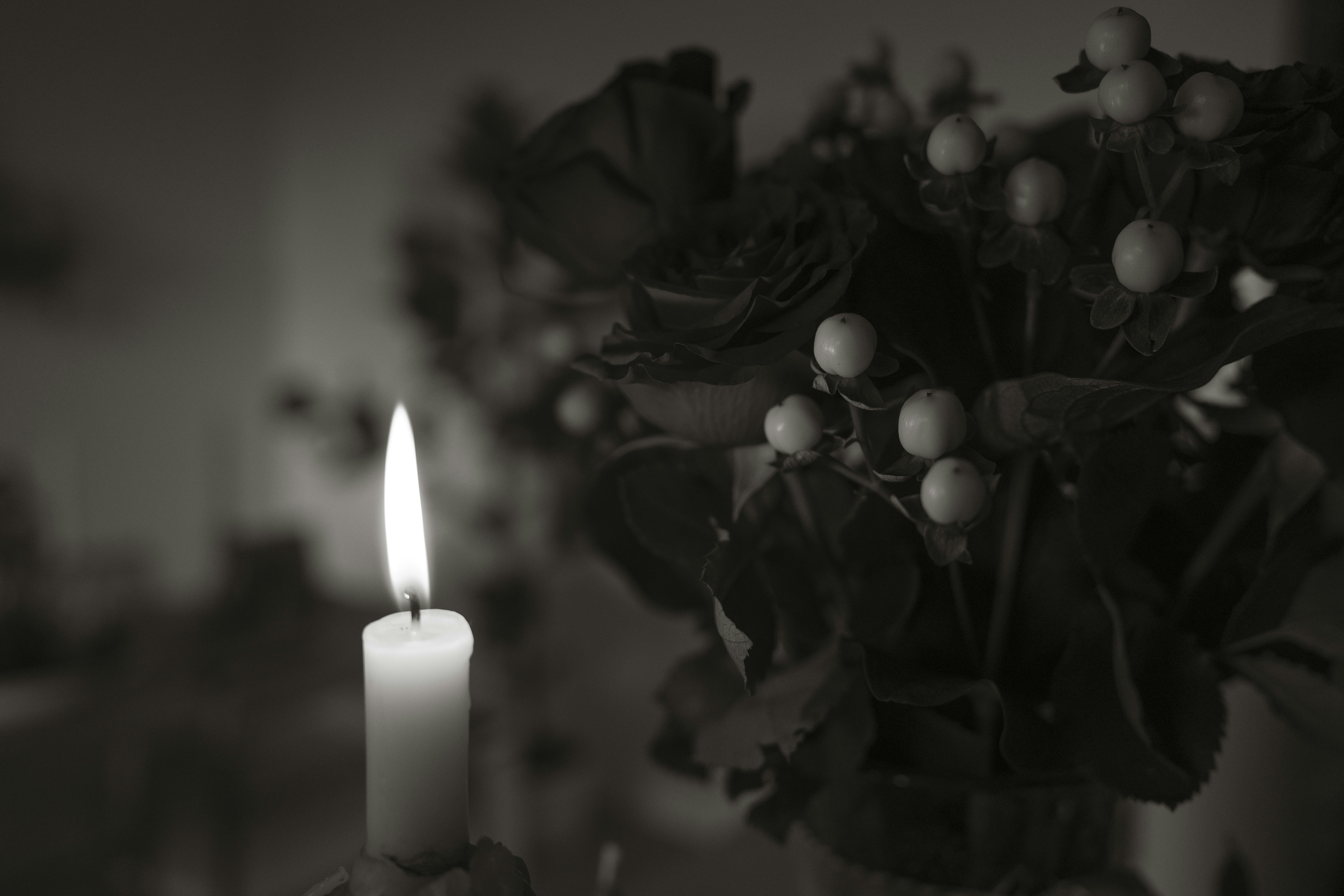 Photo by emilyirenephotoco