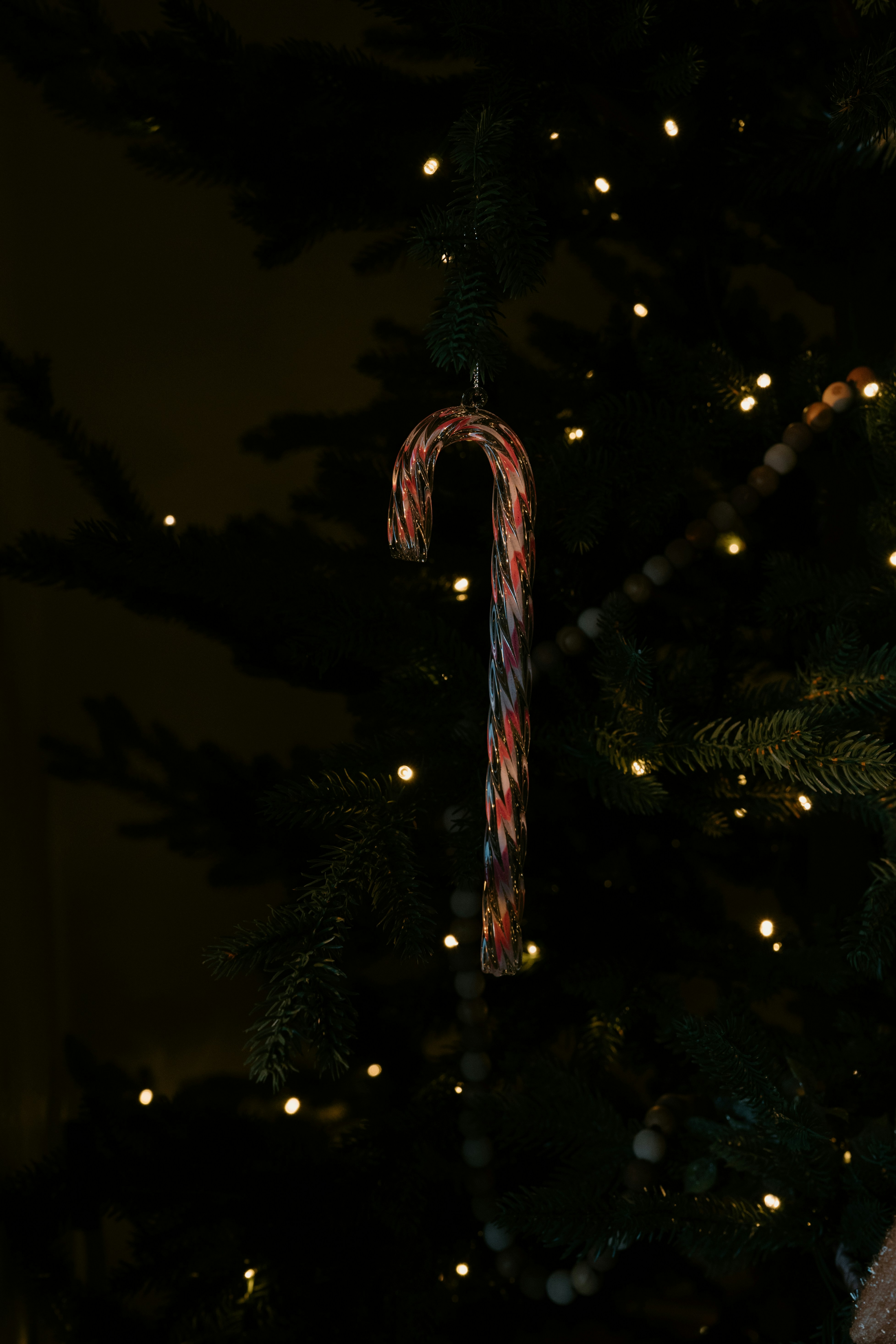 Candy cane ornament hanging on a christmas tree.
