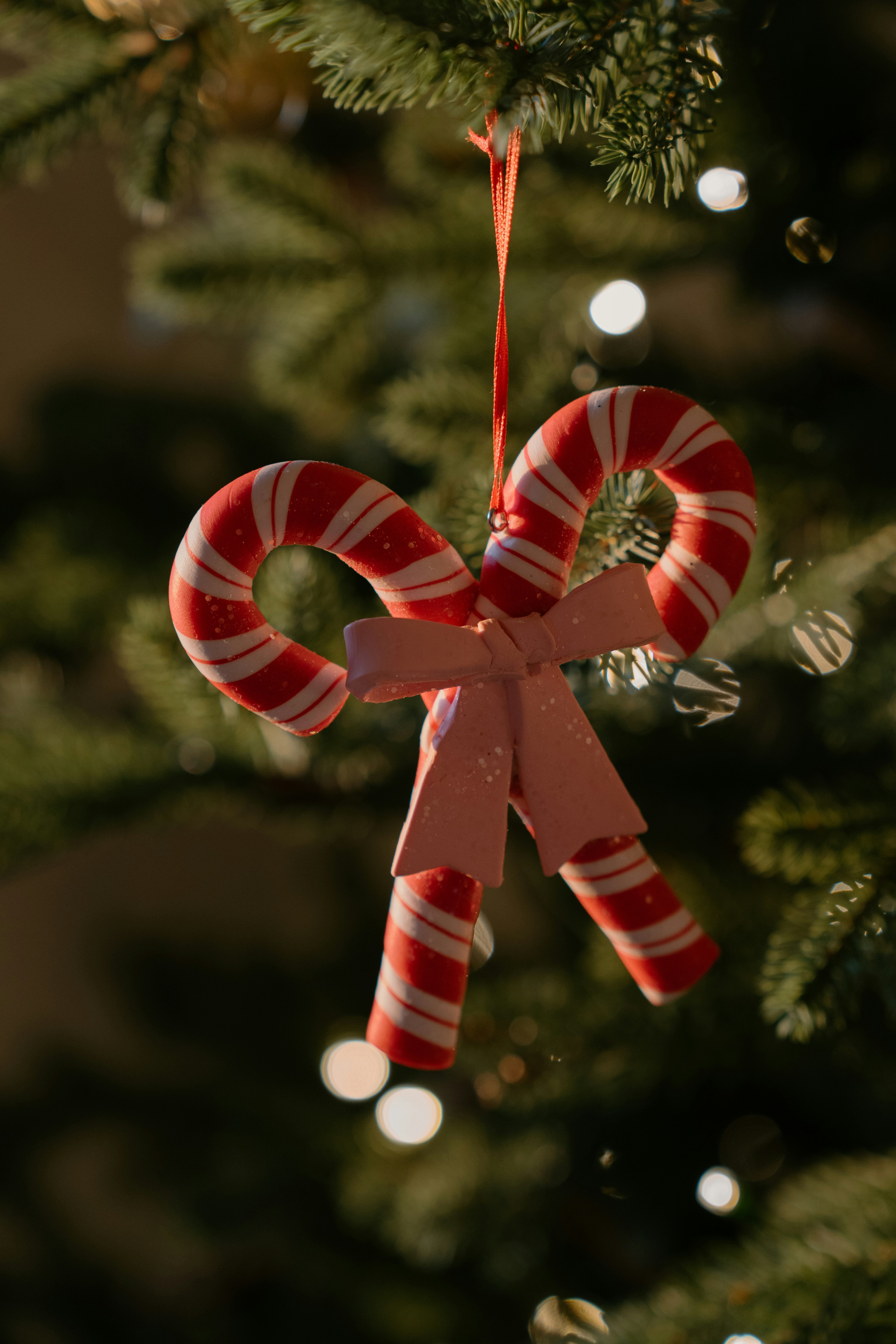 Candy cane ornaments tied with a pink bow