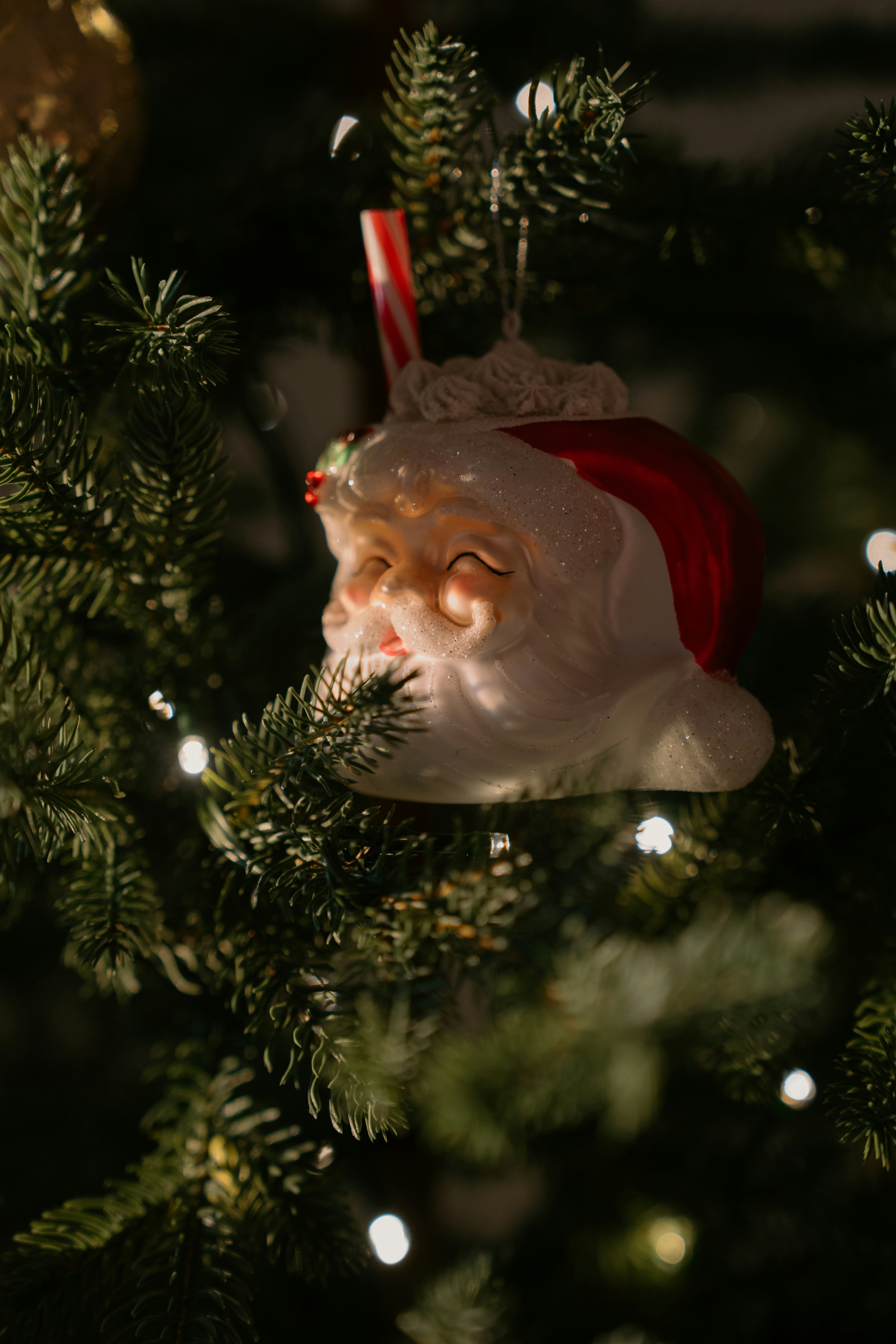 Santa ornament hanging on a christmas tree