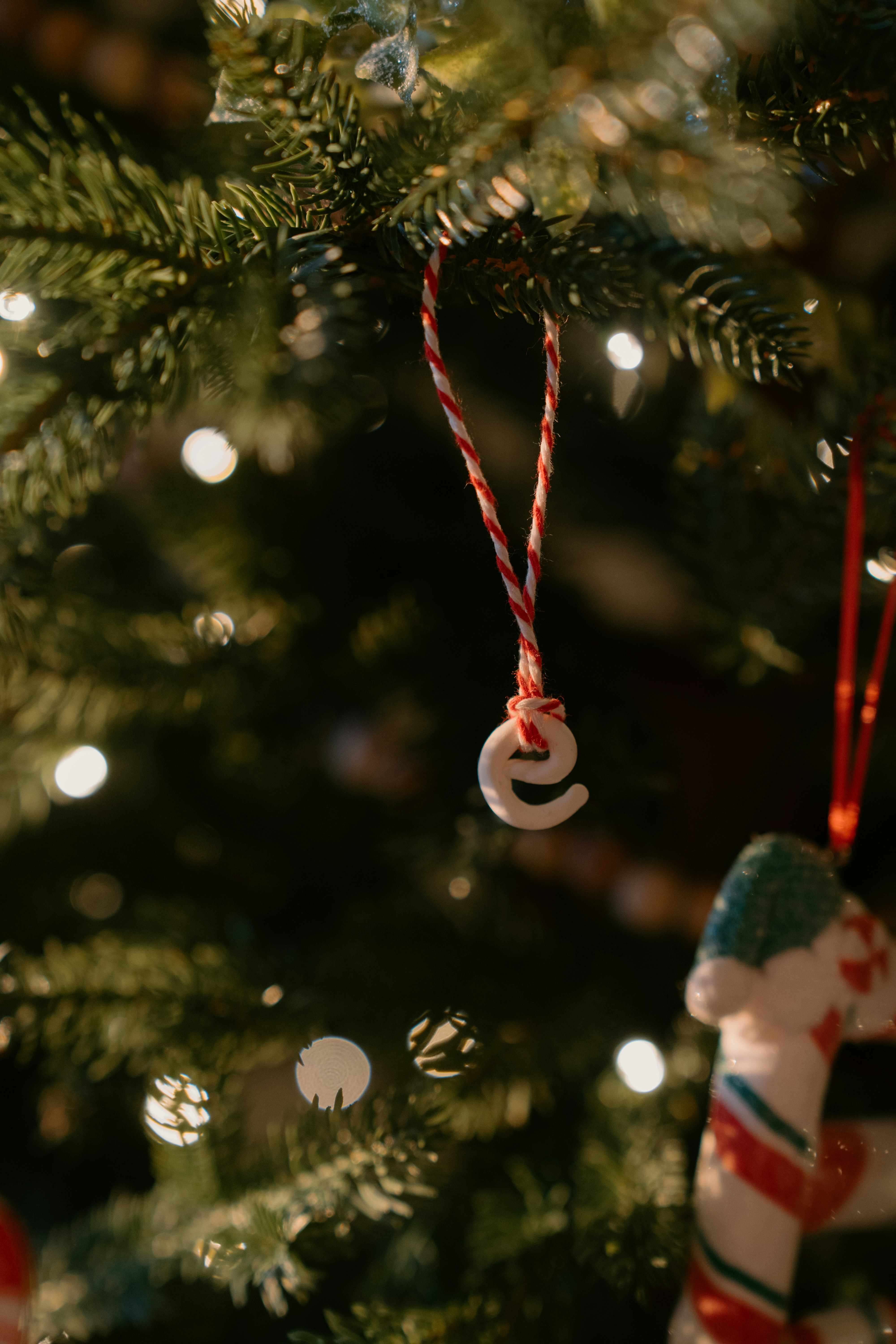 Photo by emilyirenephotoco