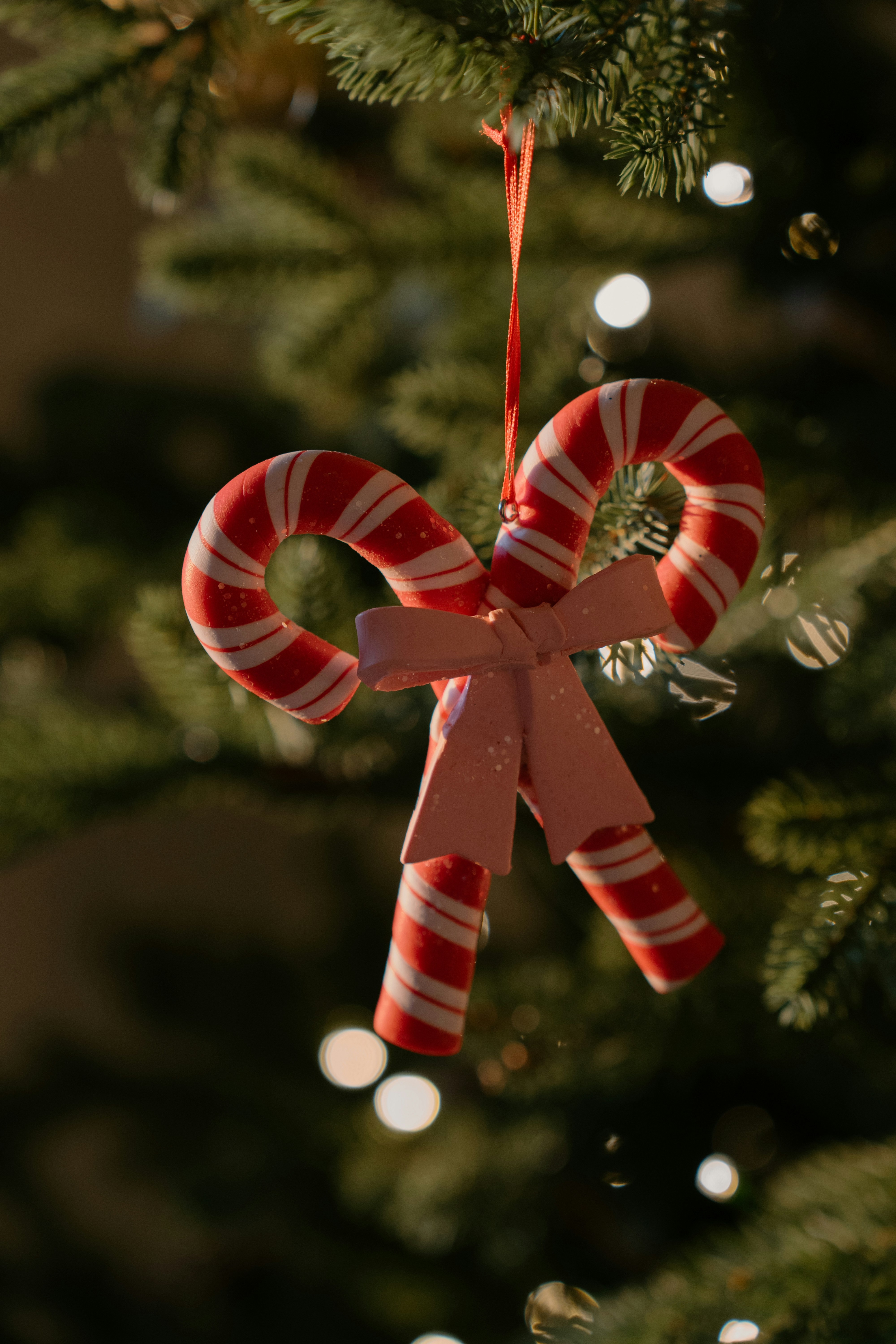 Photo by emilyirenephotoco