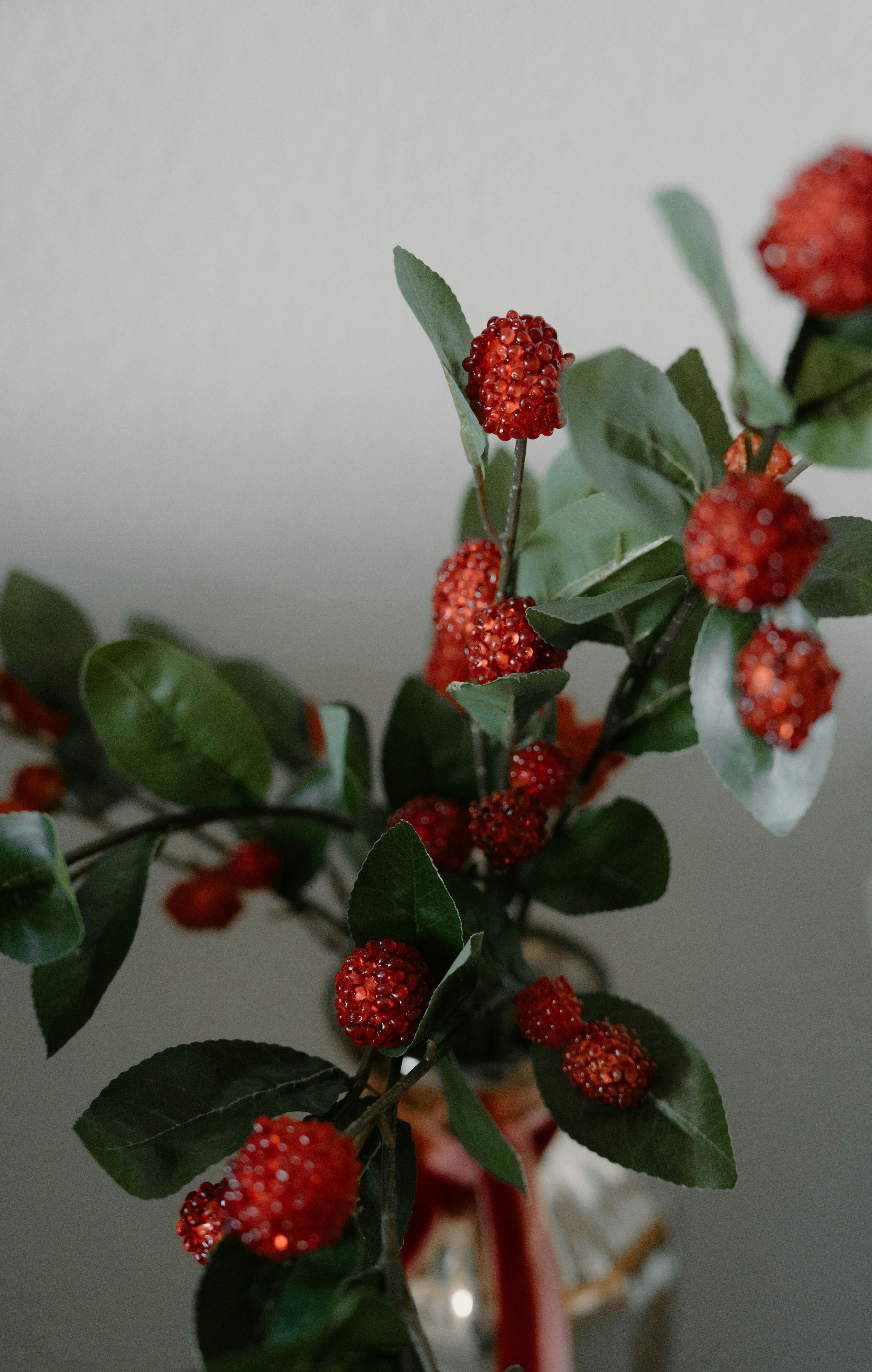 Red berries and green leaves on a branch.