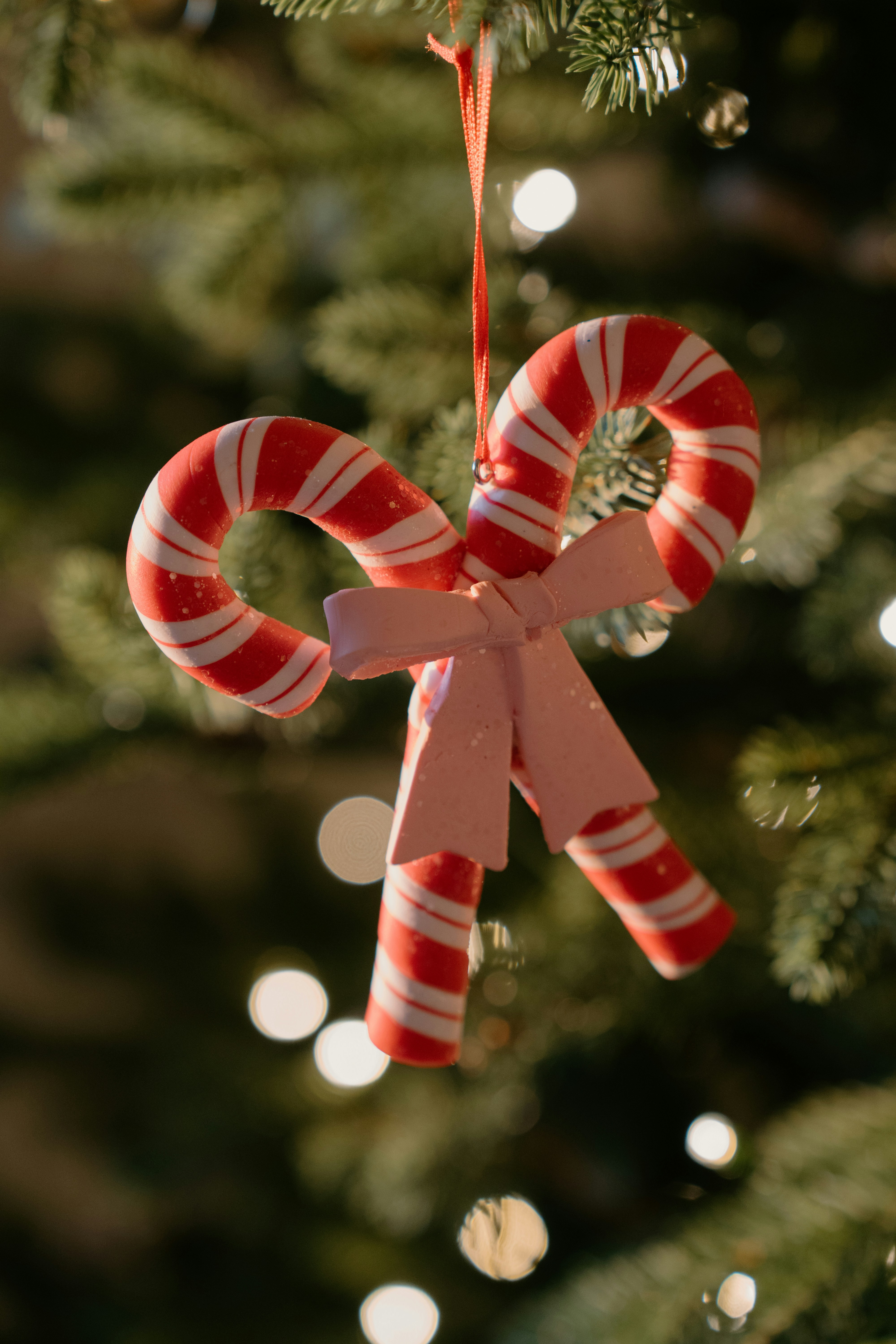 Two candy canes tied together with a pink bow