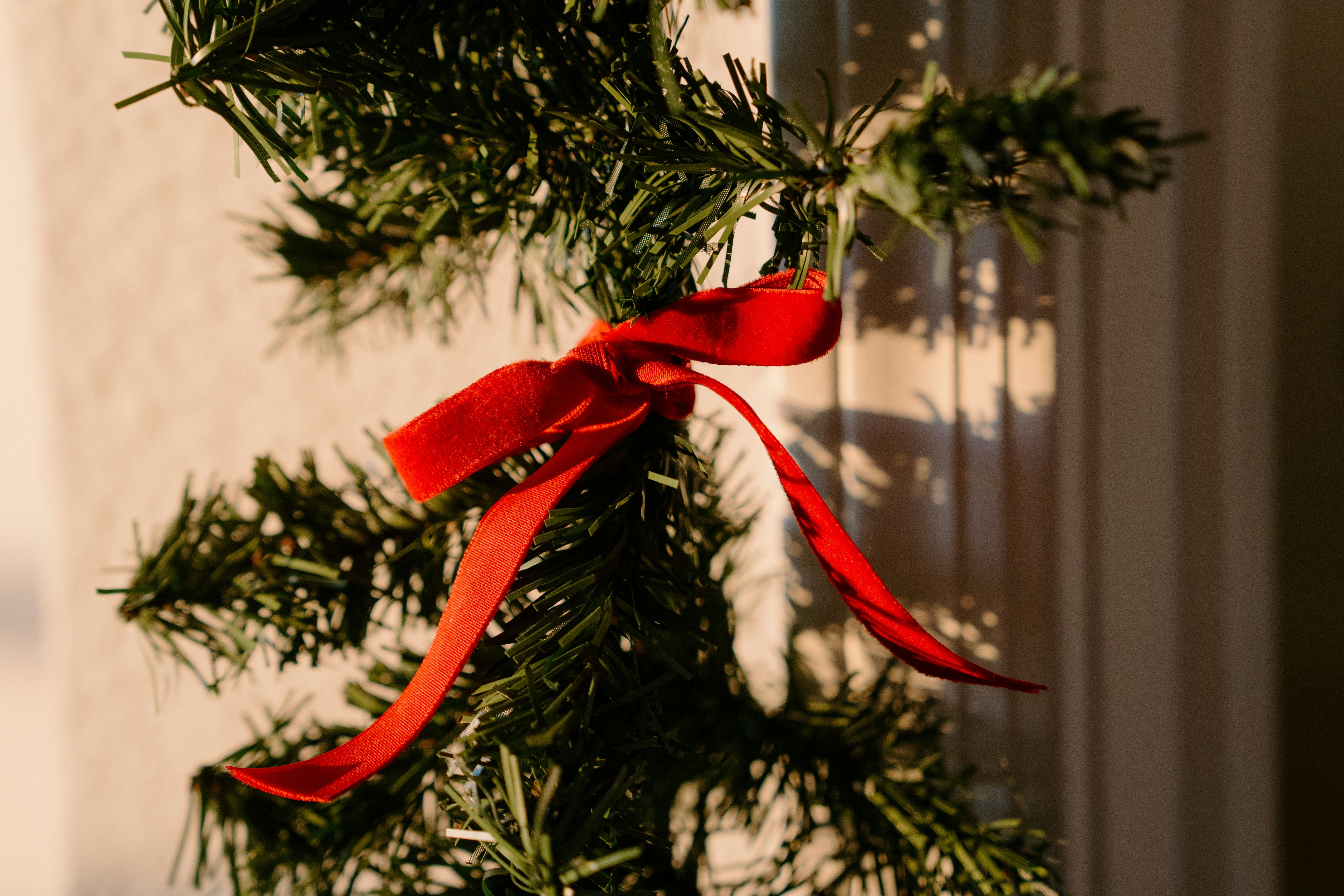 Photo by emilyirenephotoco