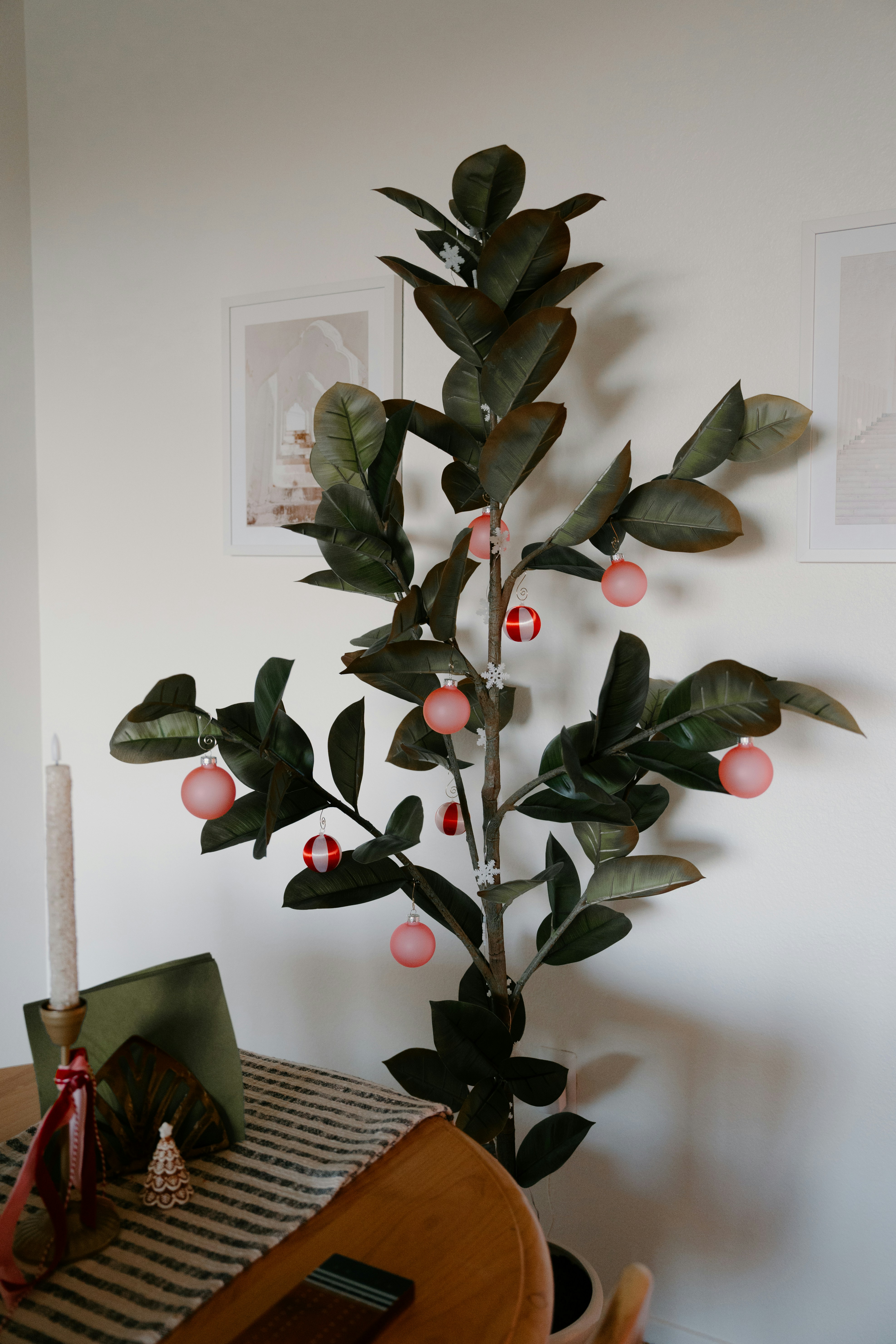 A decorated ficus tree with pink ornaments