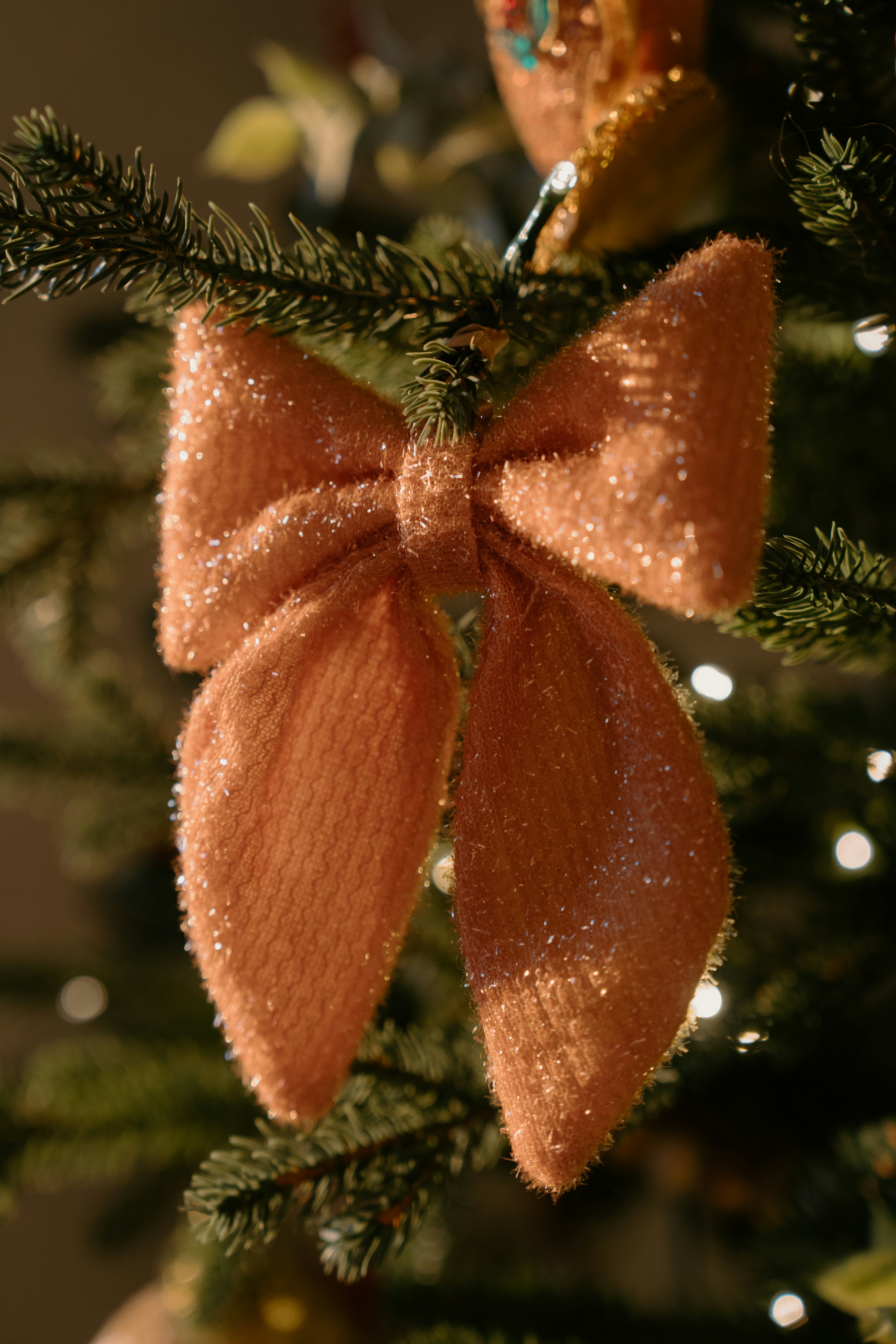 Photo by emilyirenephotoco