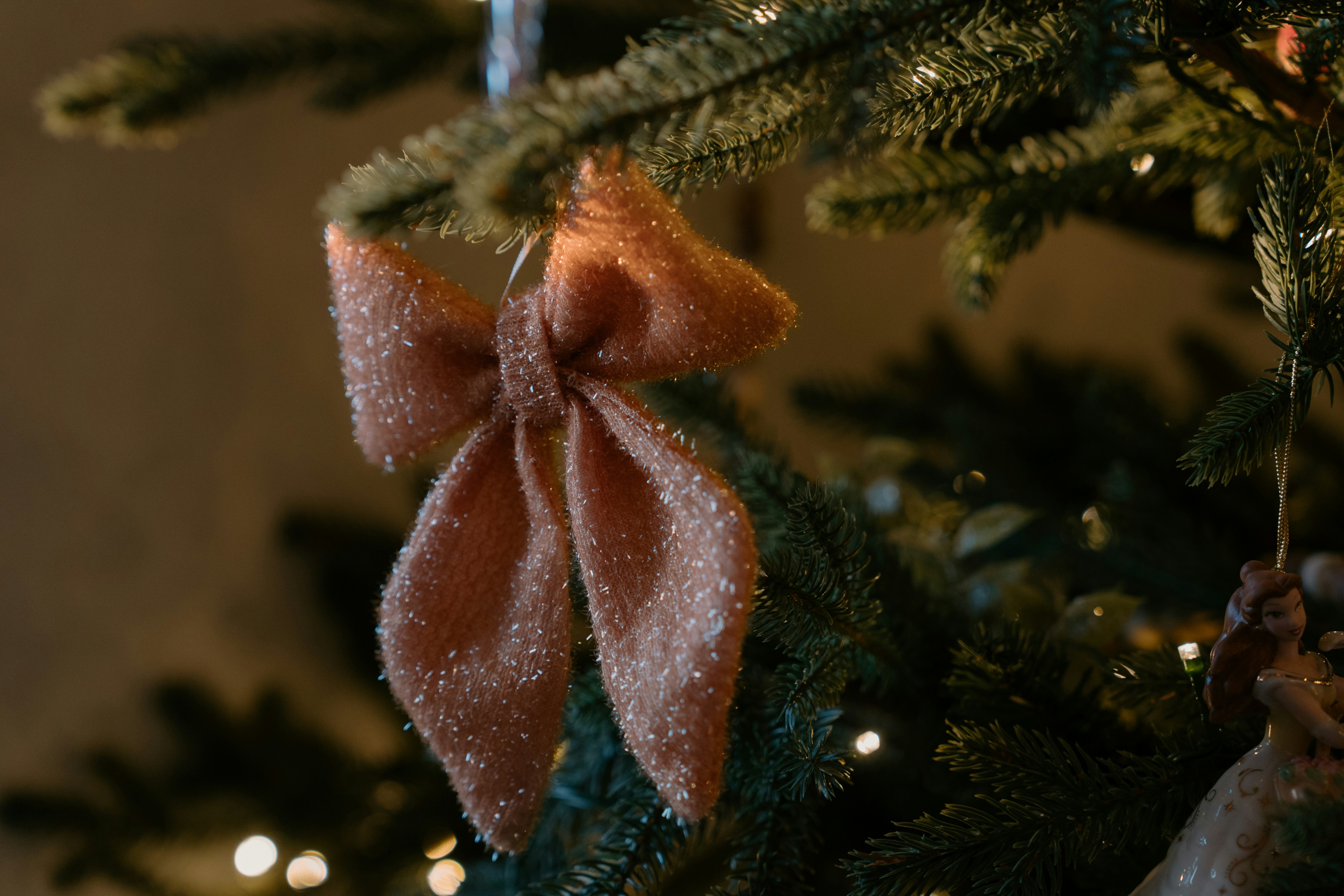 Photo by emilyirenephotoco