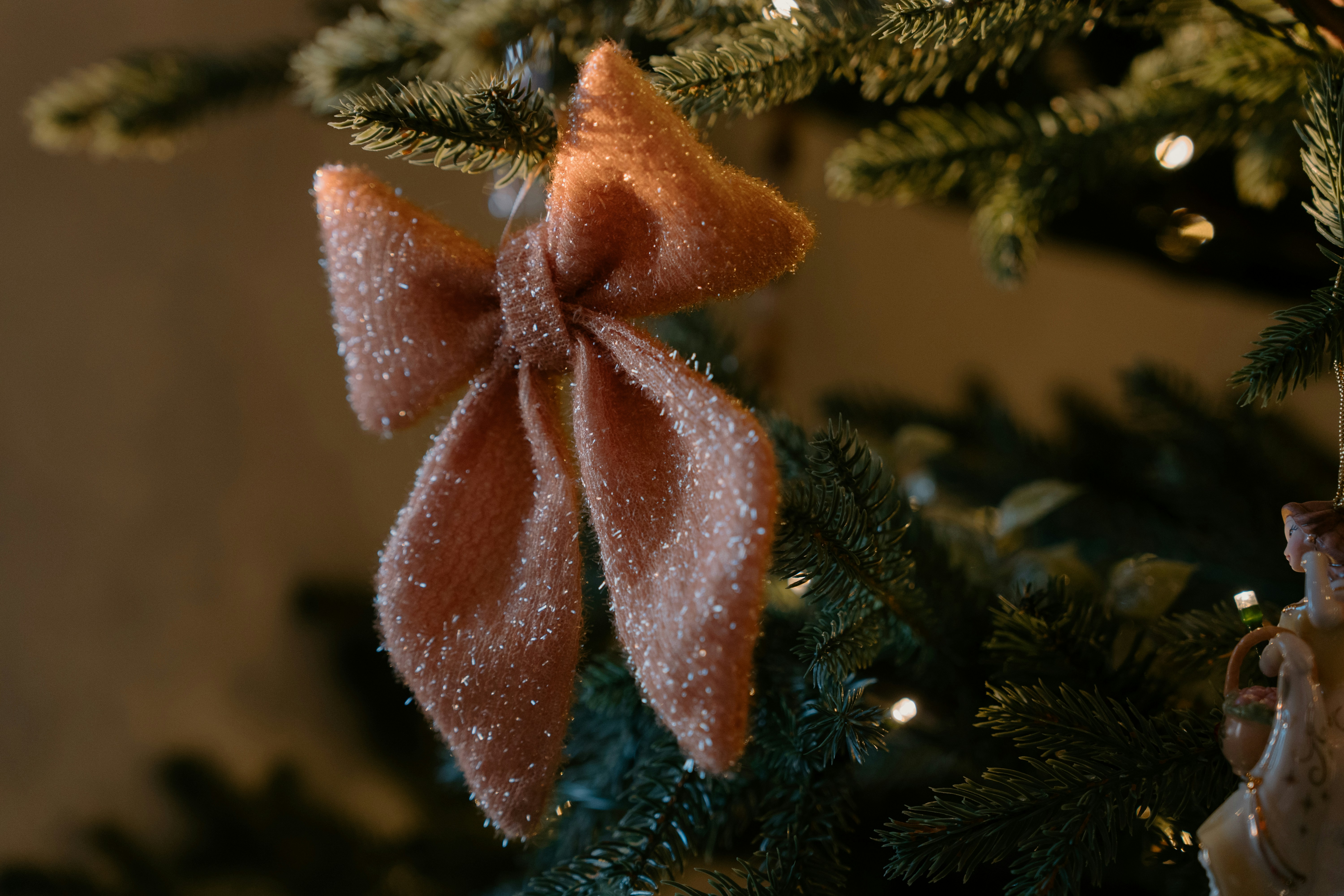 Photo by emilyirenephotoco