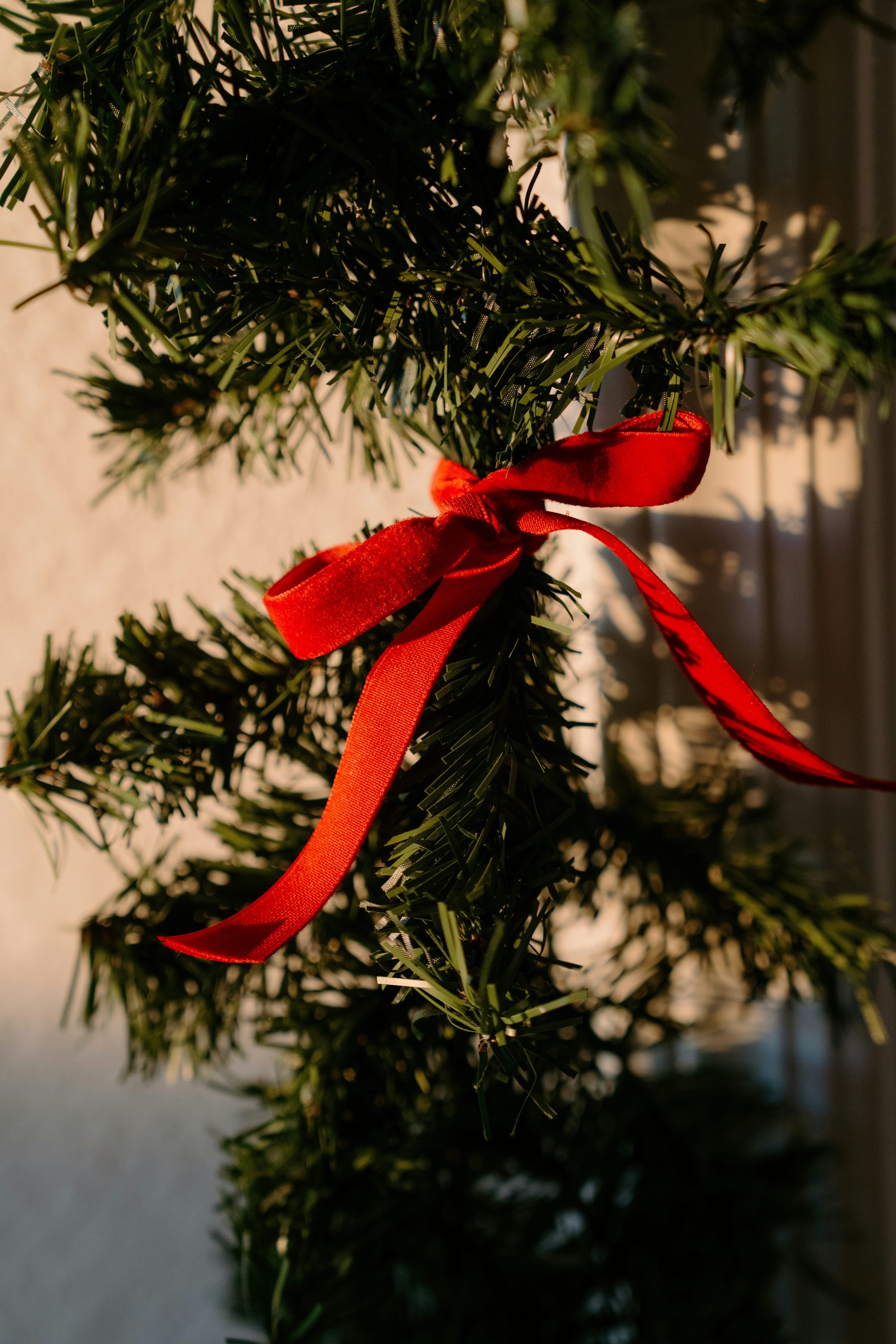 Photo by emilyirenephotoco