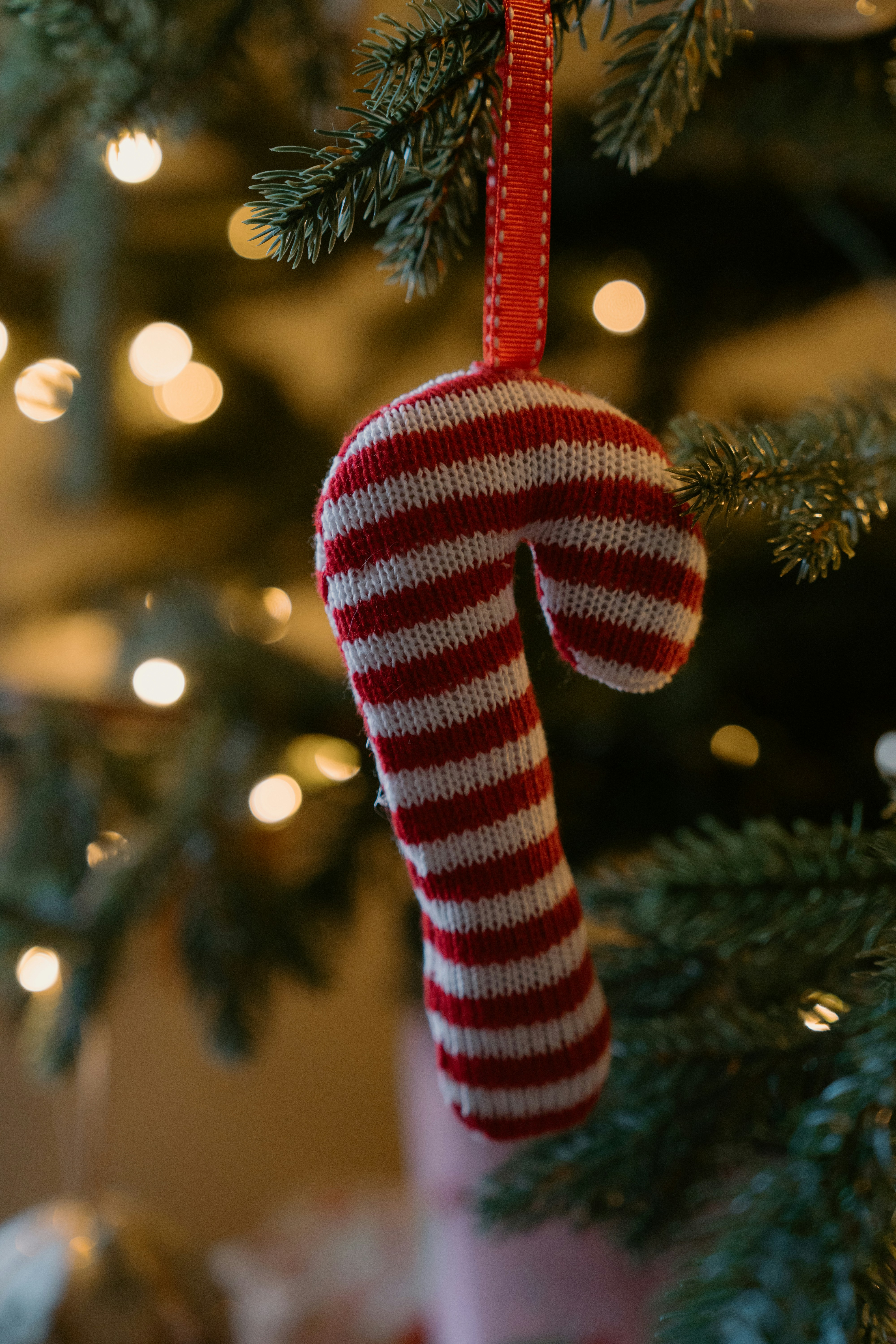 Photo by emilyirenephotoco