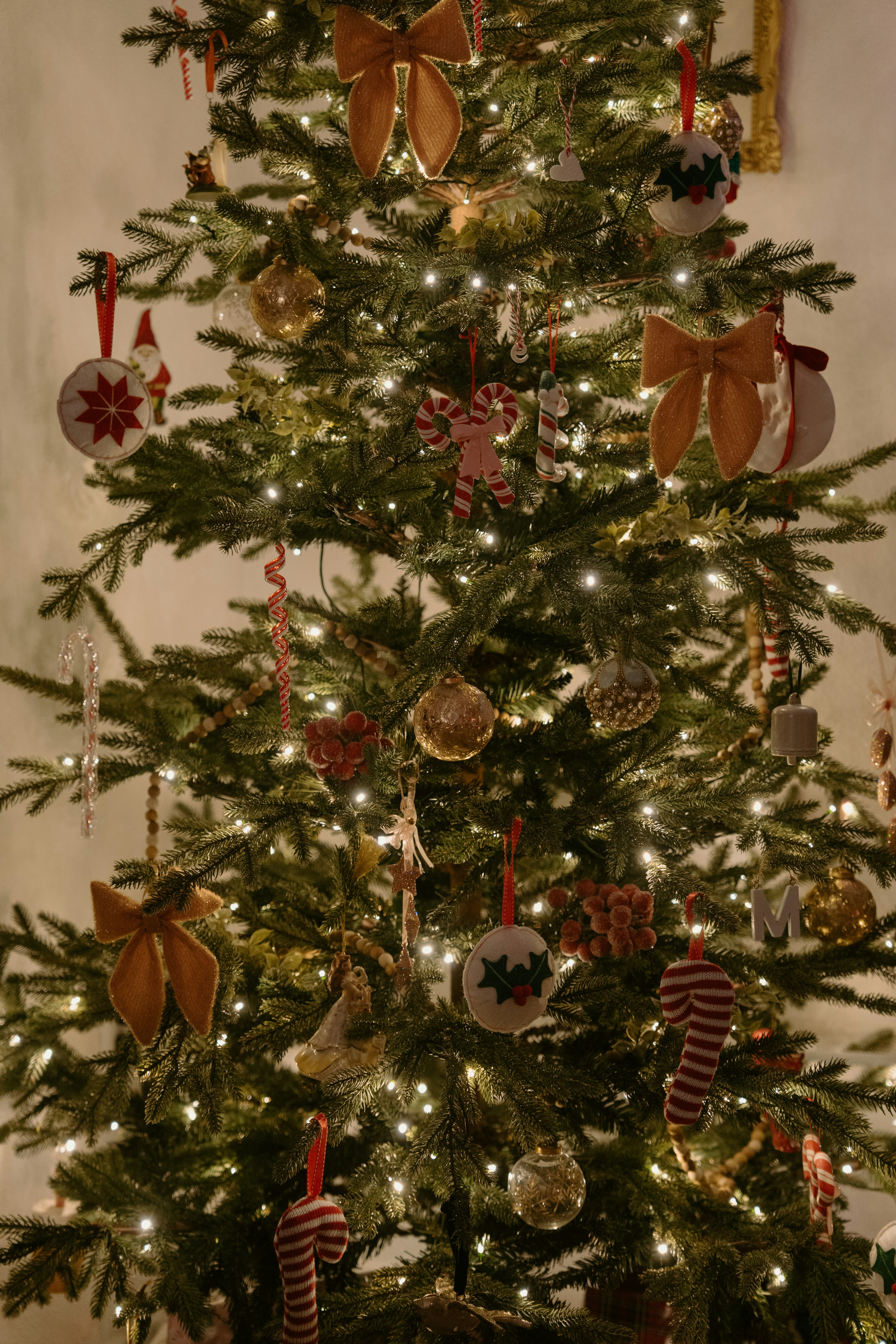 Photo by emilyirenephotoco