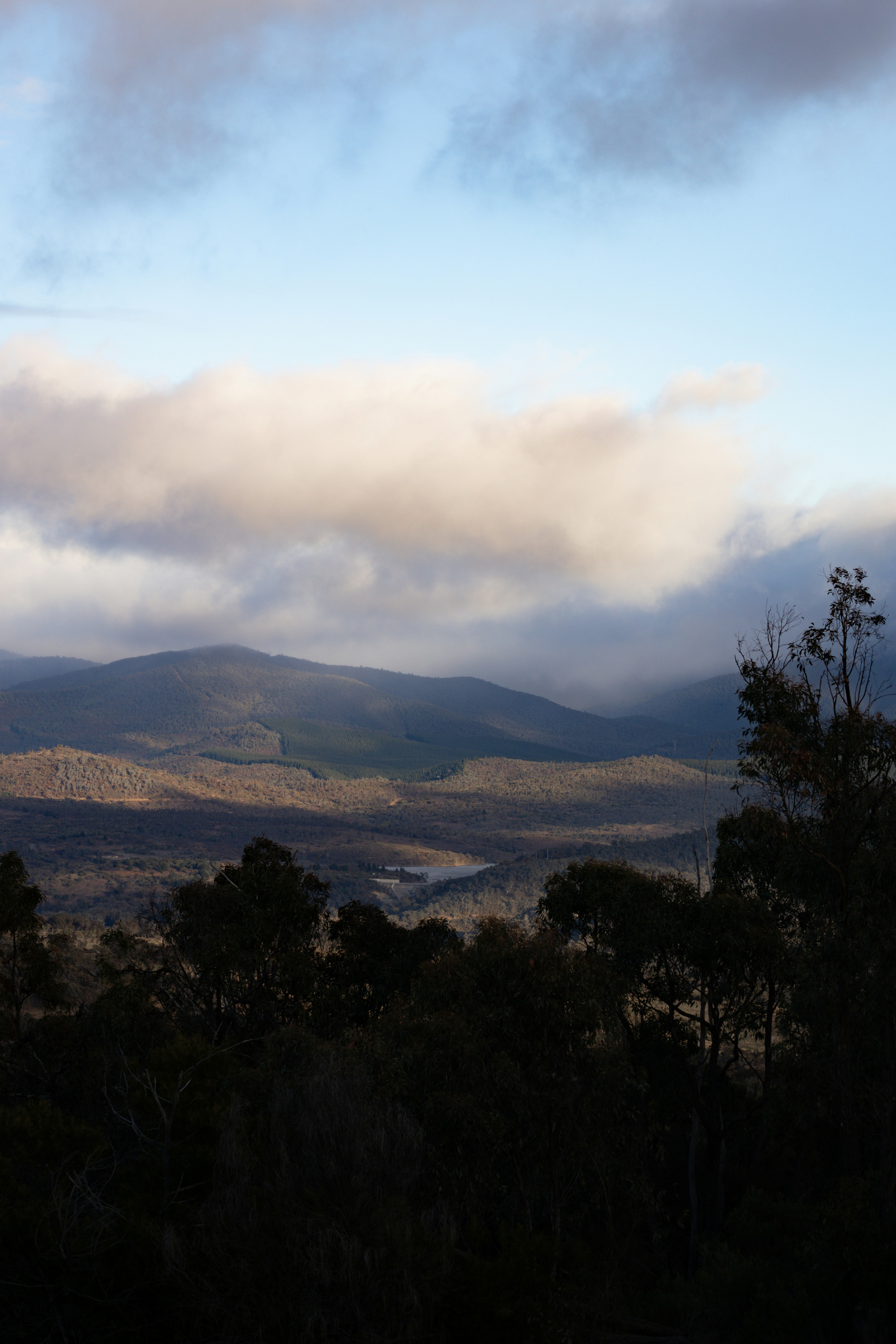 Misty mountains and forest under a cloudy sky.