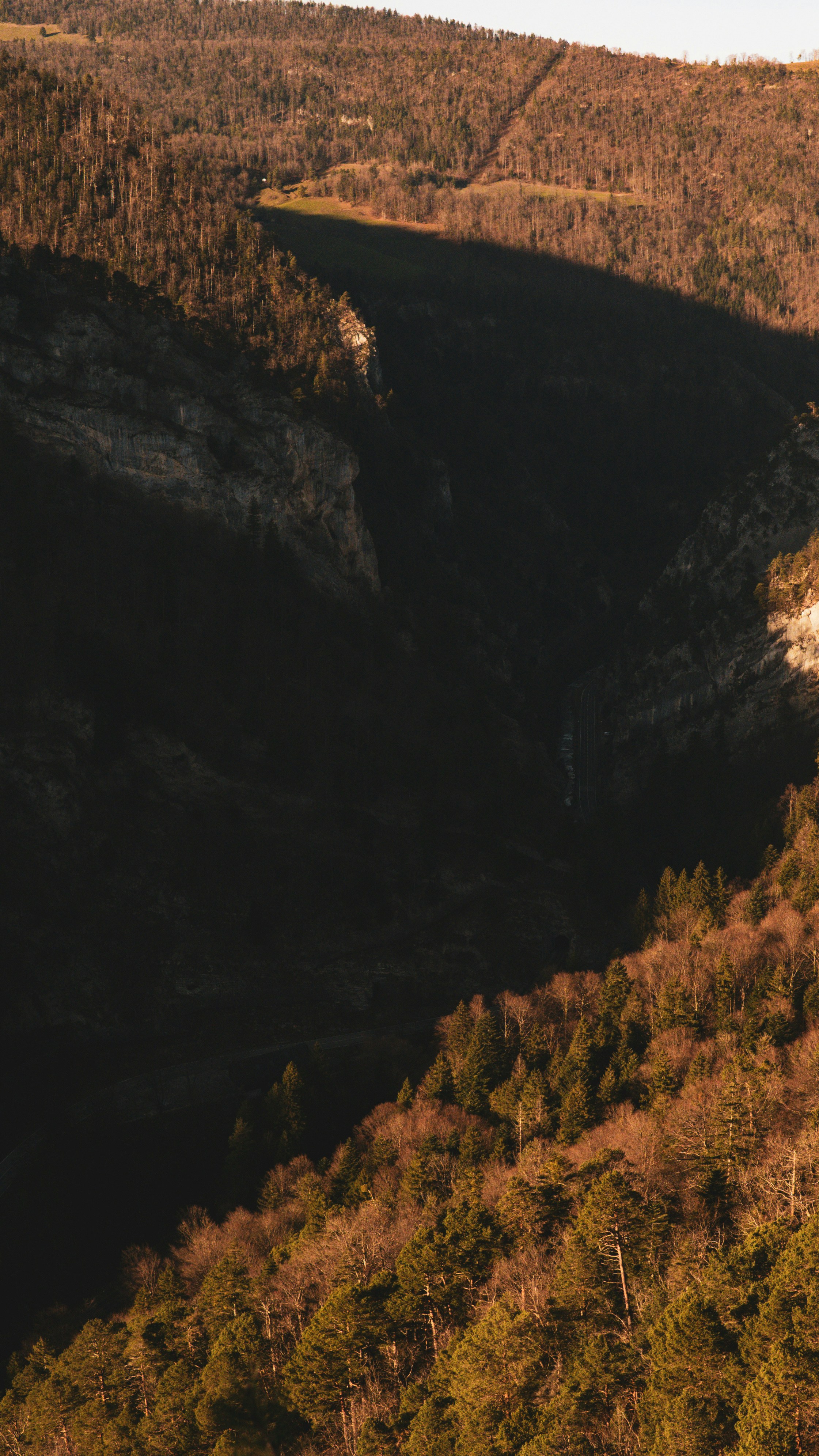 Sunlight illuminates a forest canyon with shadows.