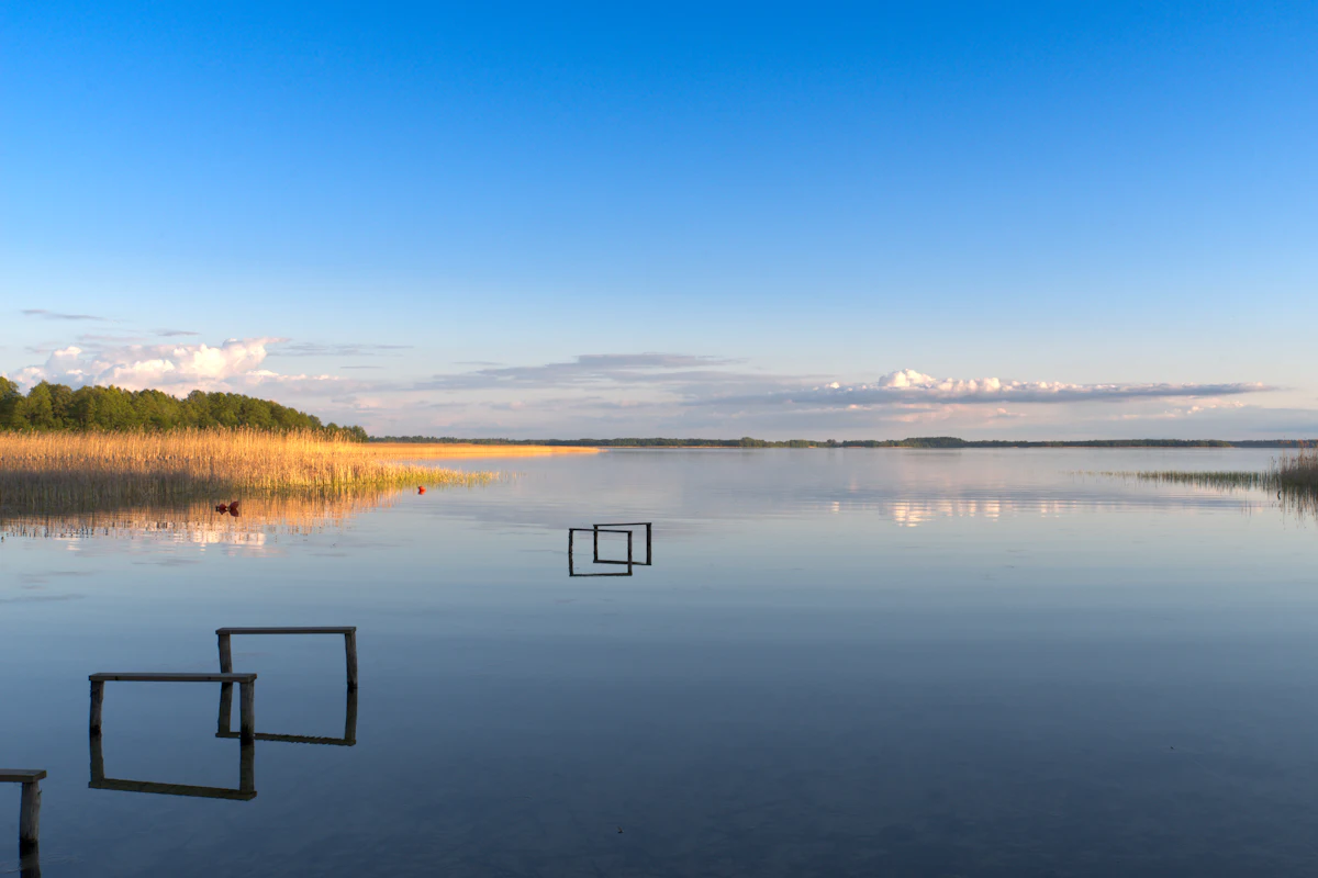 Étang calme bordé de roseaux sous un grand ciel bleu