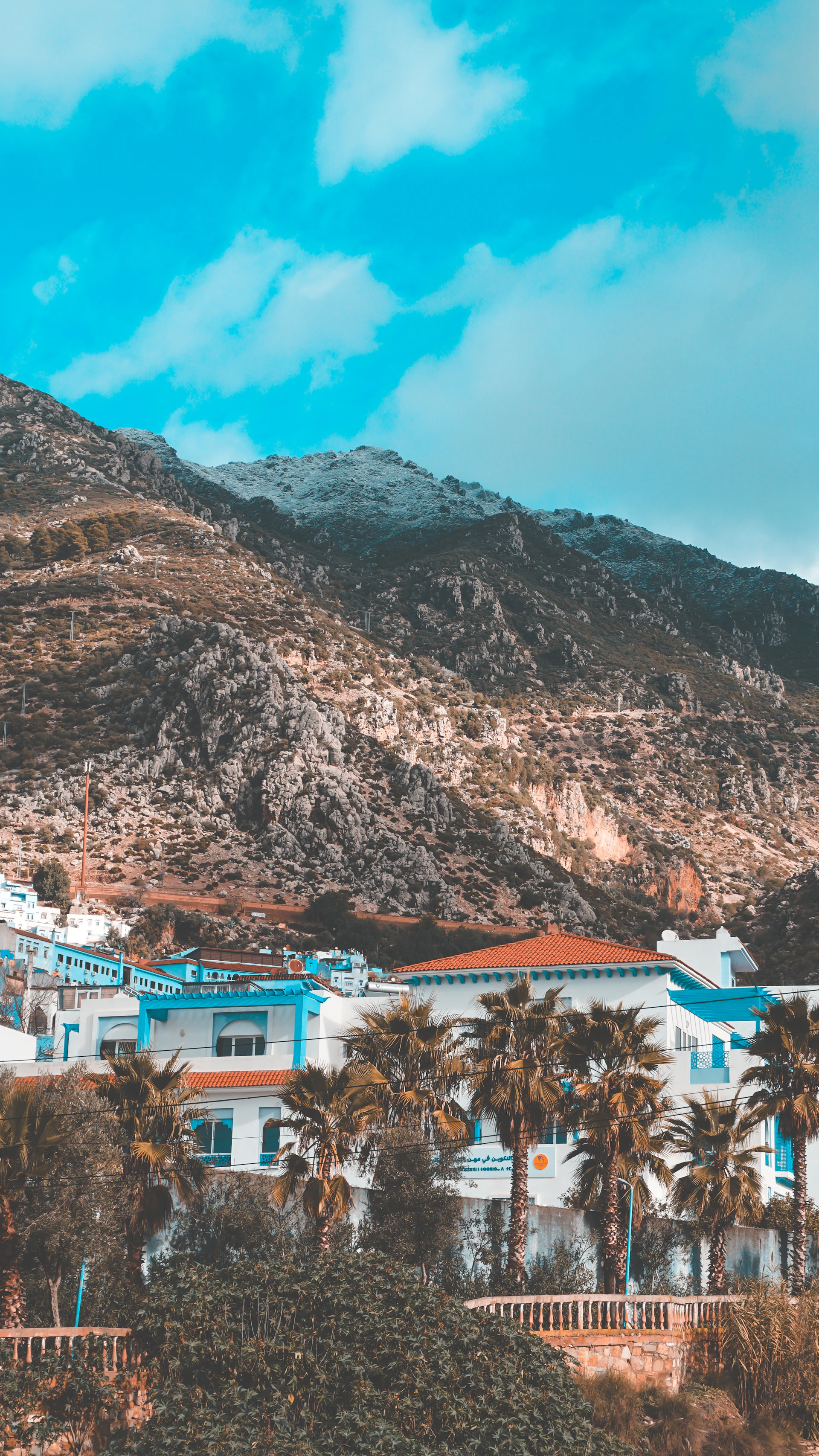 White buildings with palm trees below rocky mountains.