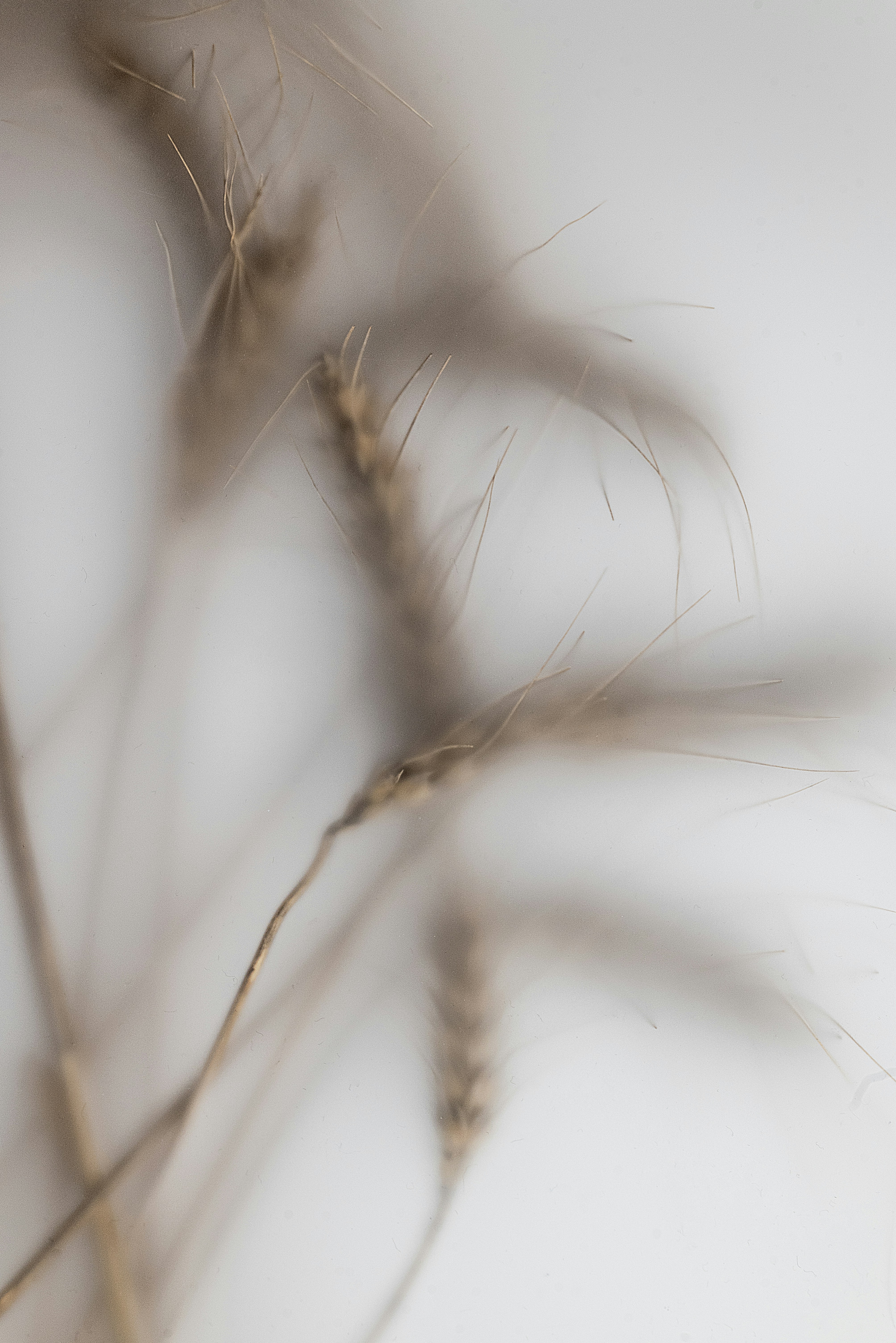 Photo by andrilliardbond