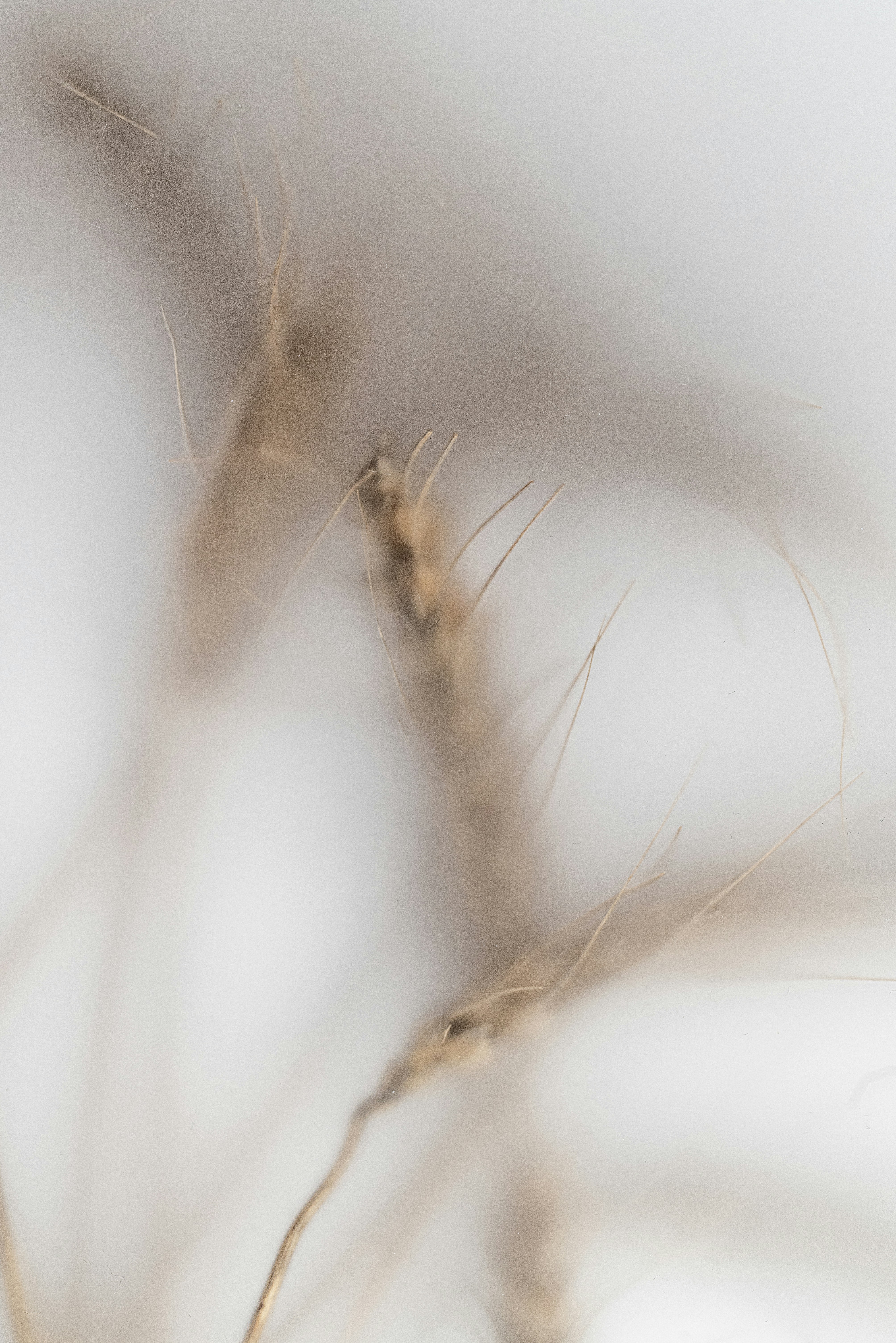 Photo by andrilliardbond