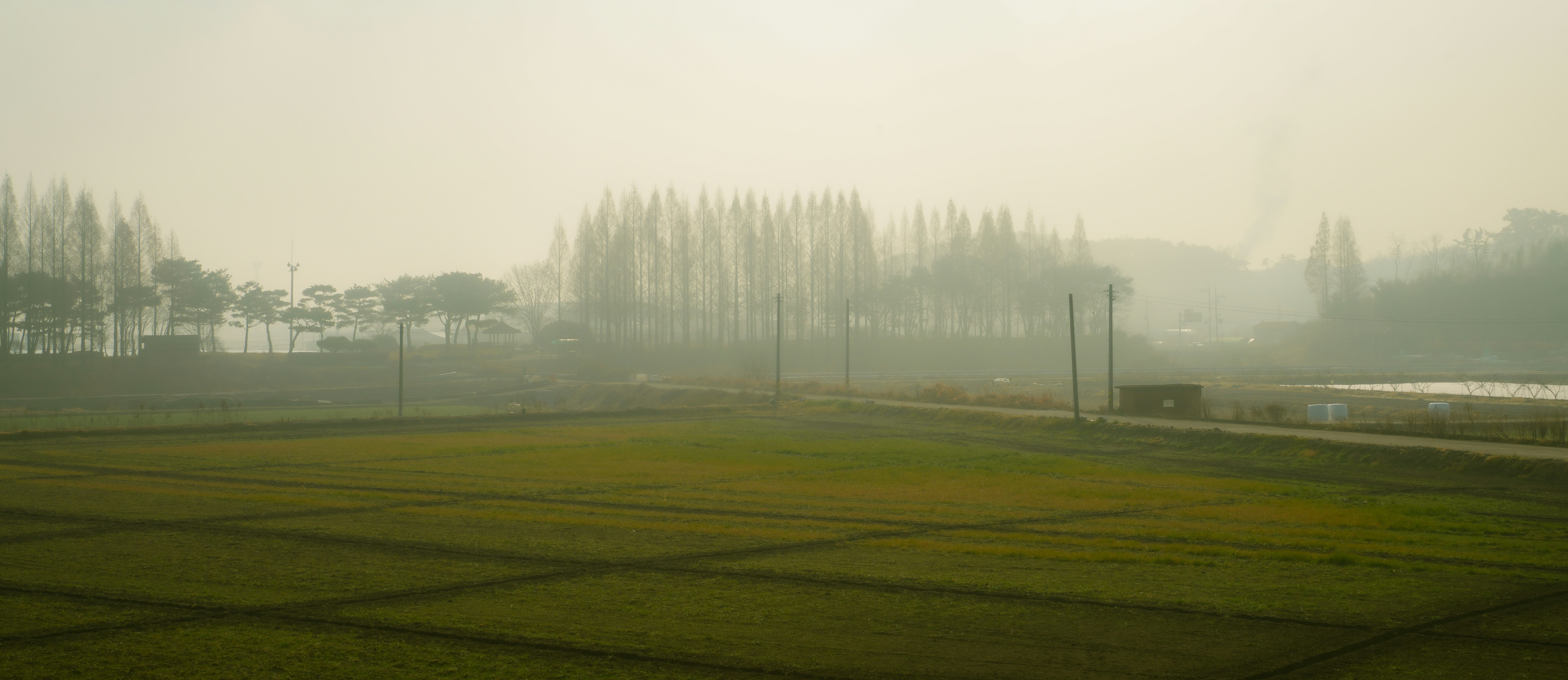 Misty morning over a green field with trees.