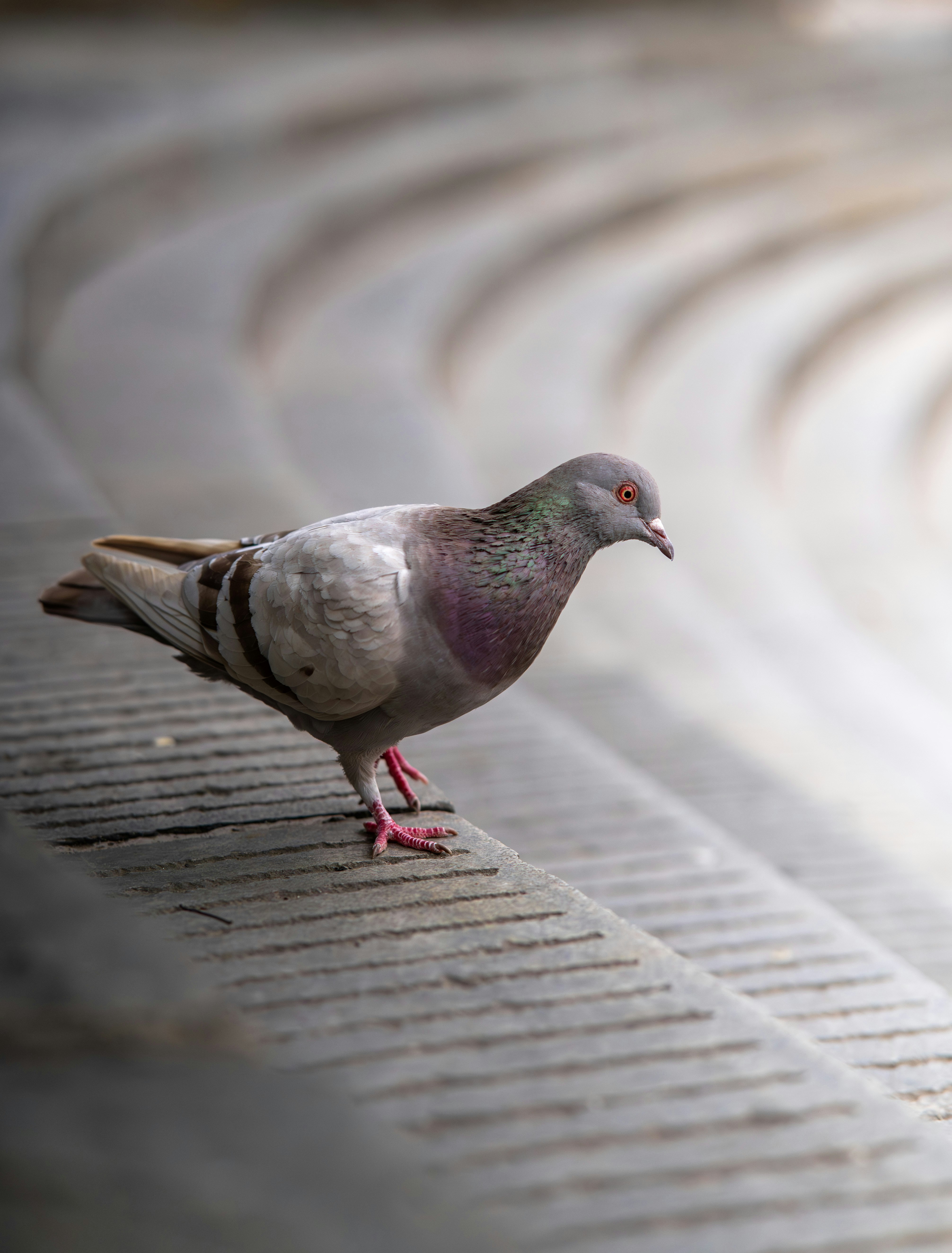 Photo by excellentcx