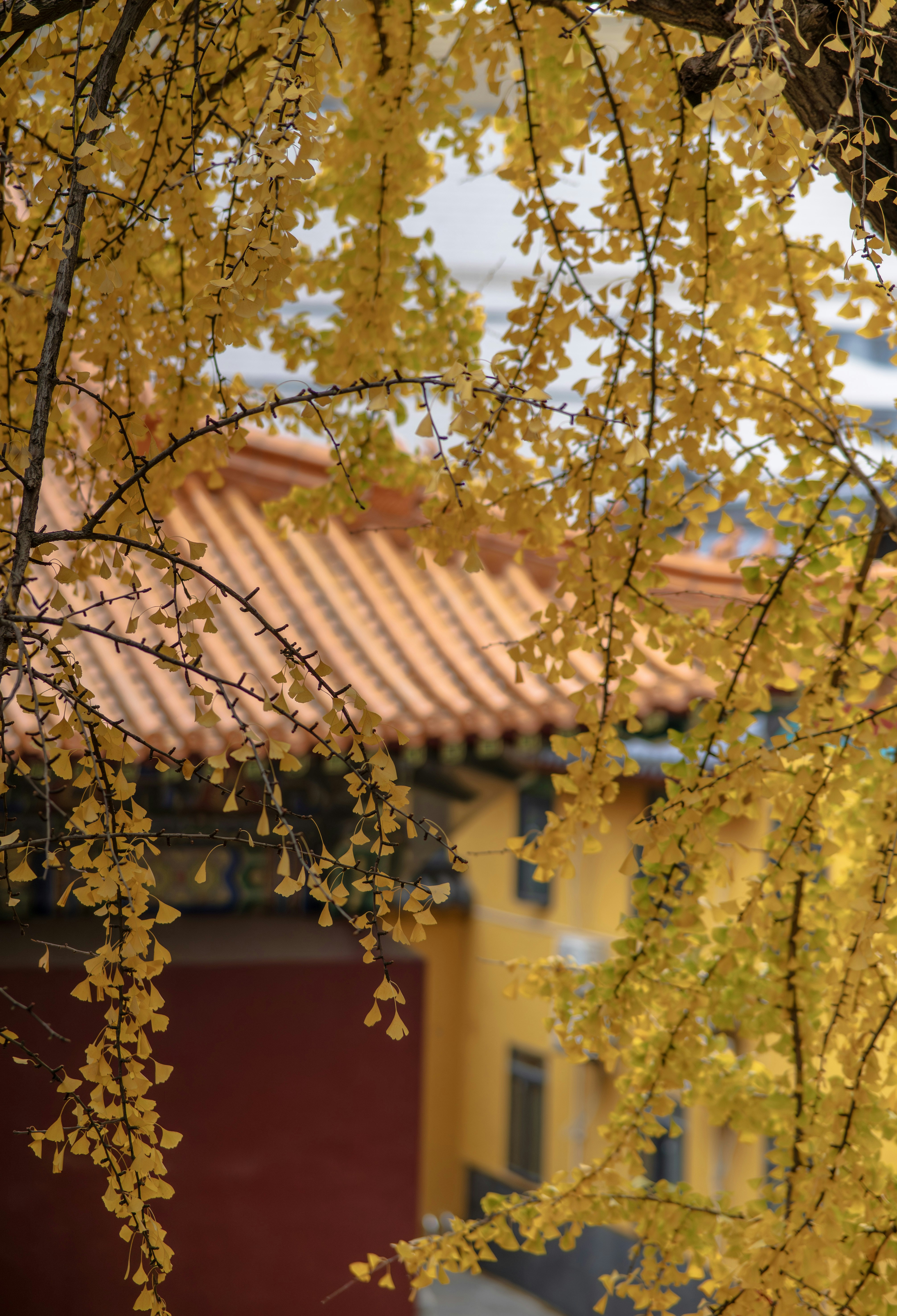 Photo by excellentcx