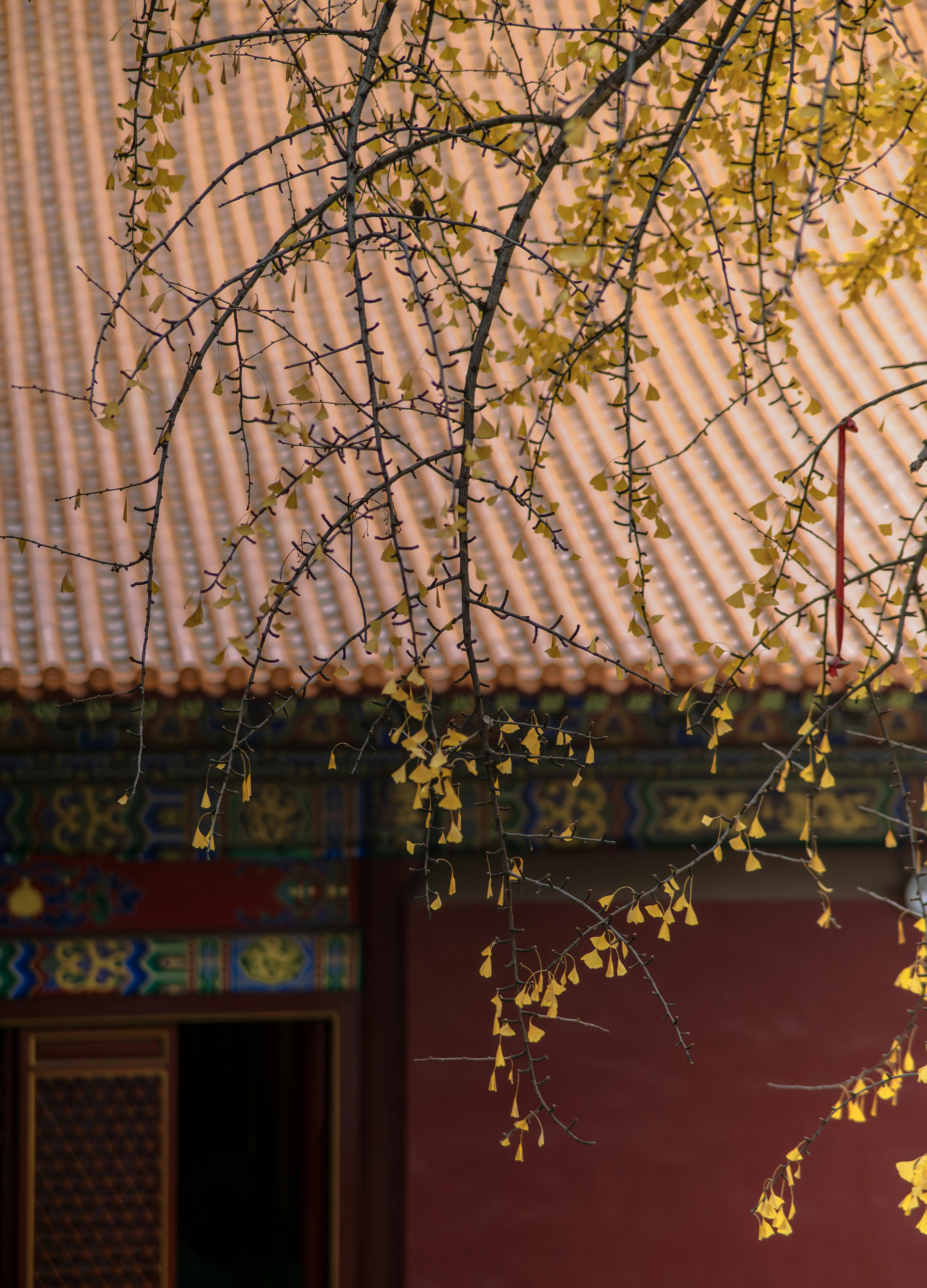 Photo by excellentcx