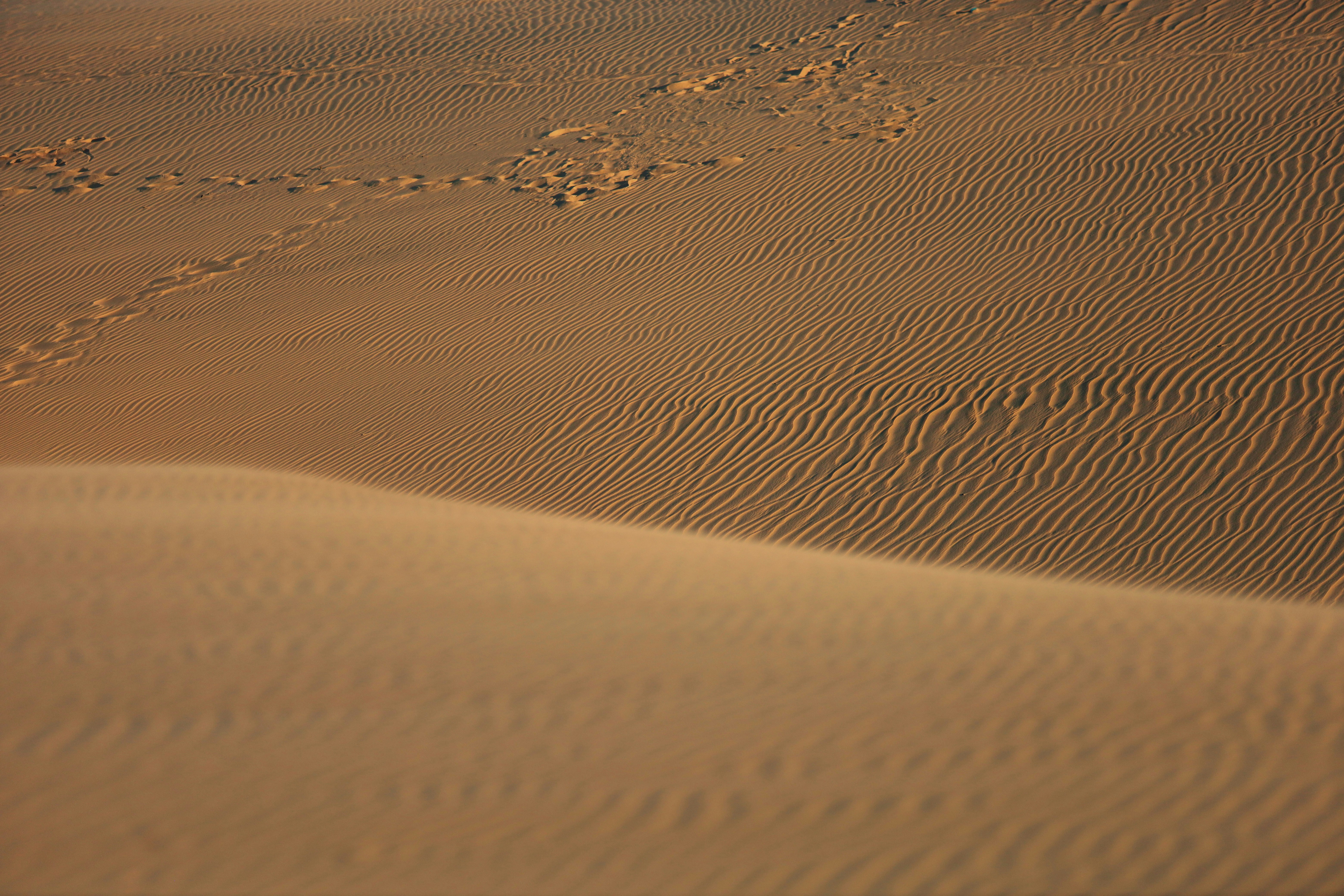 Sand dunes with footprints under a clear sky